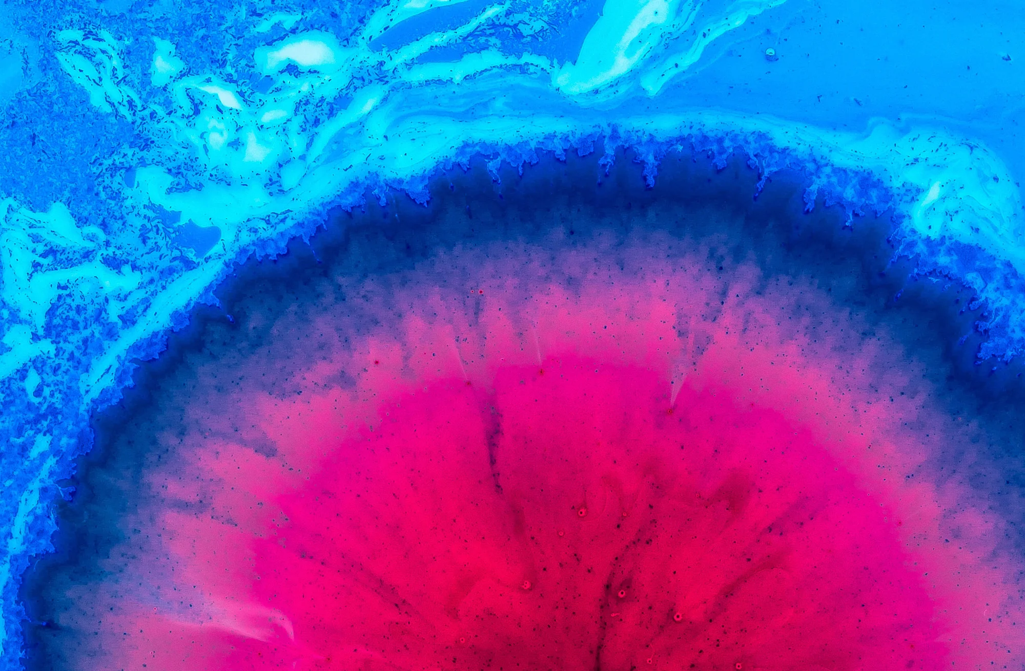   Northland Bioscience    Healing through Innovation    