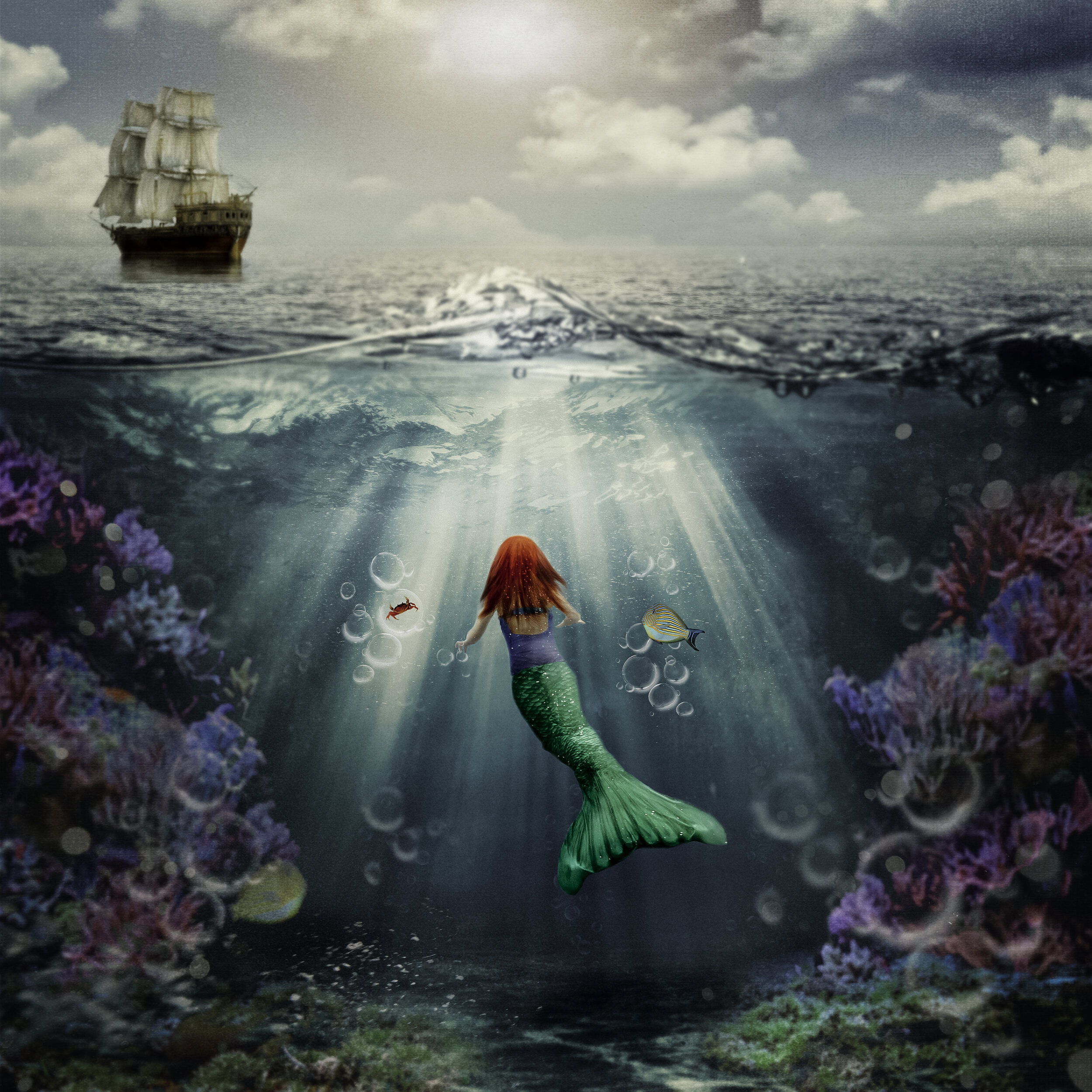 Ariel.jpg