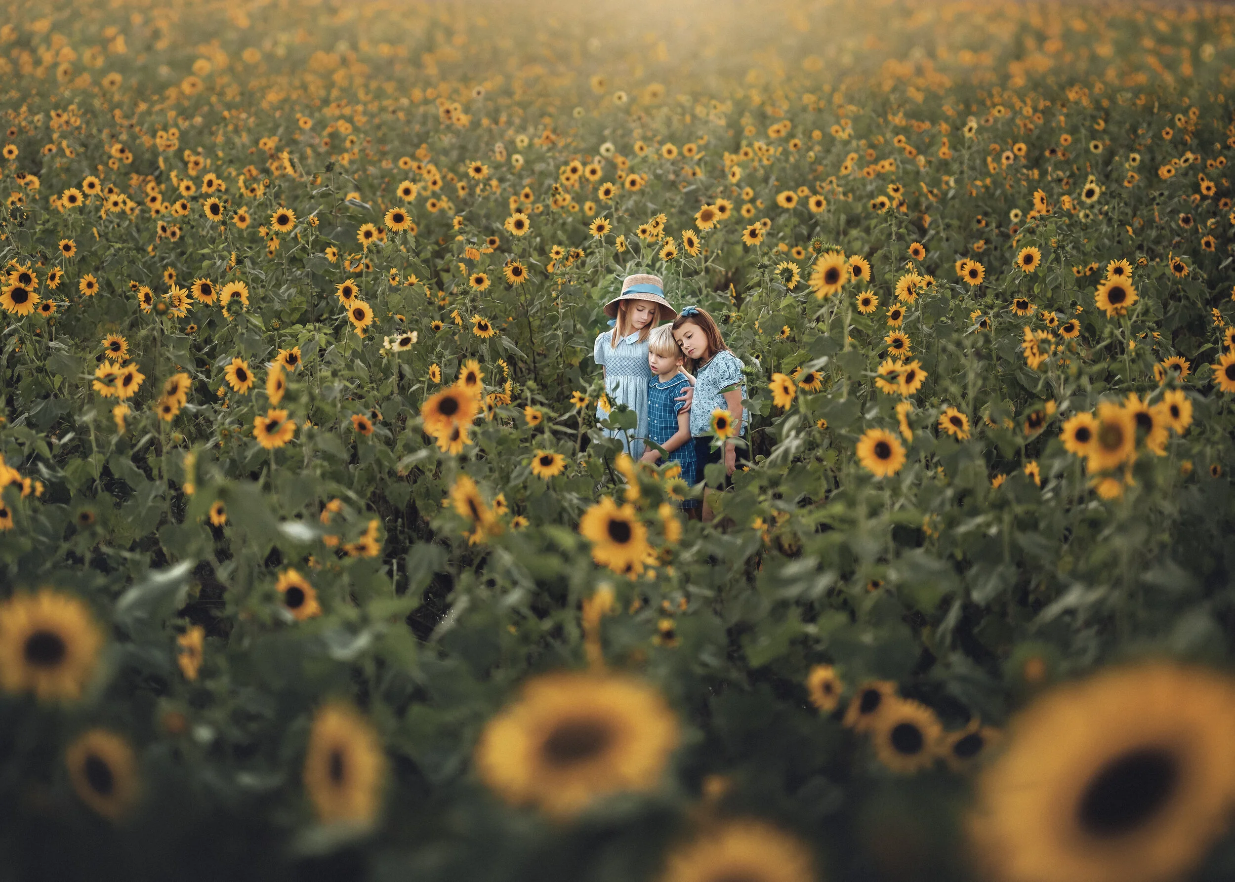 Sunflower_kids.jpg