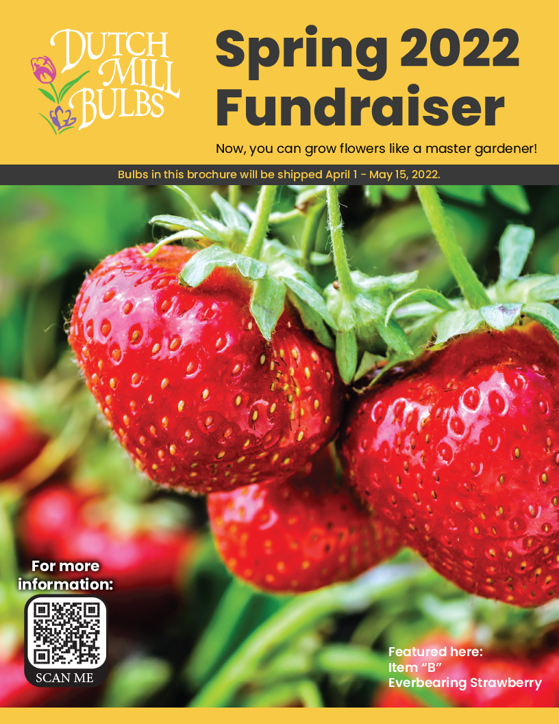 DMB - Spring 2022 Brochure - Online-1.png