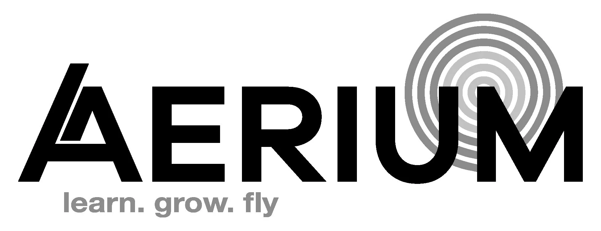 Aerium Logo - GRAY.jpg