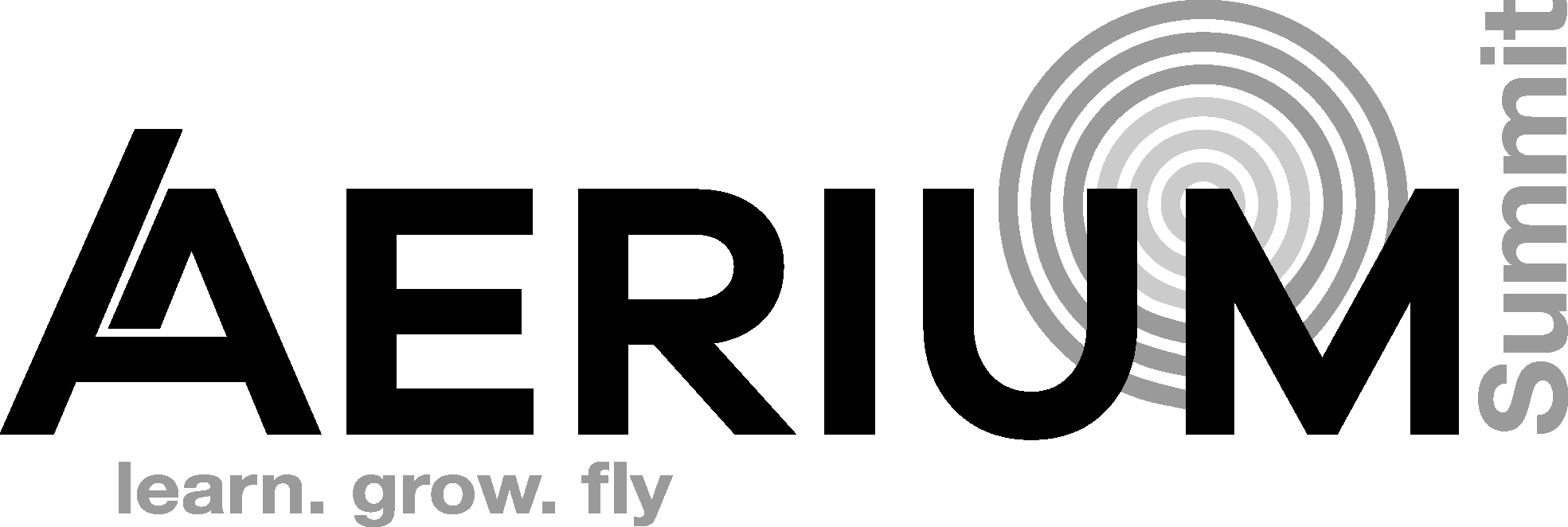 Aerium Summit Logo - Gray.png