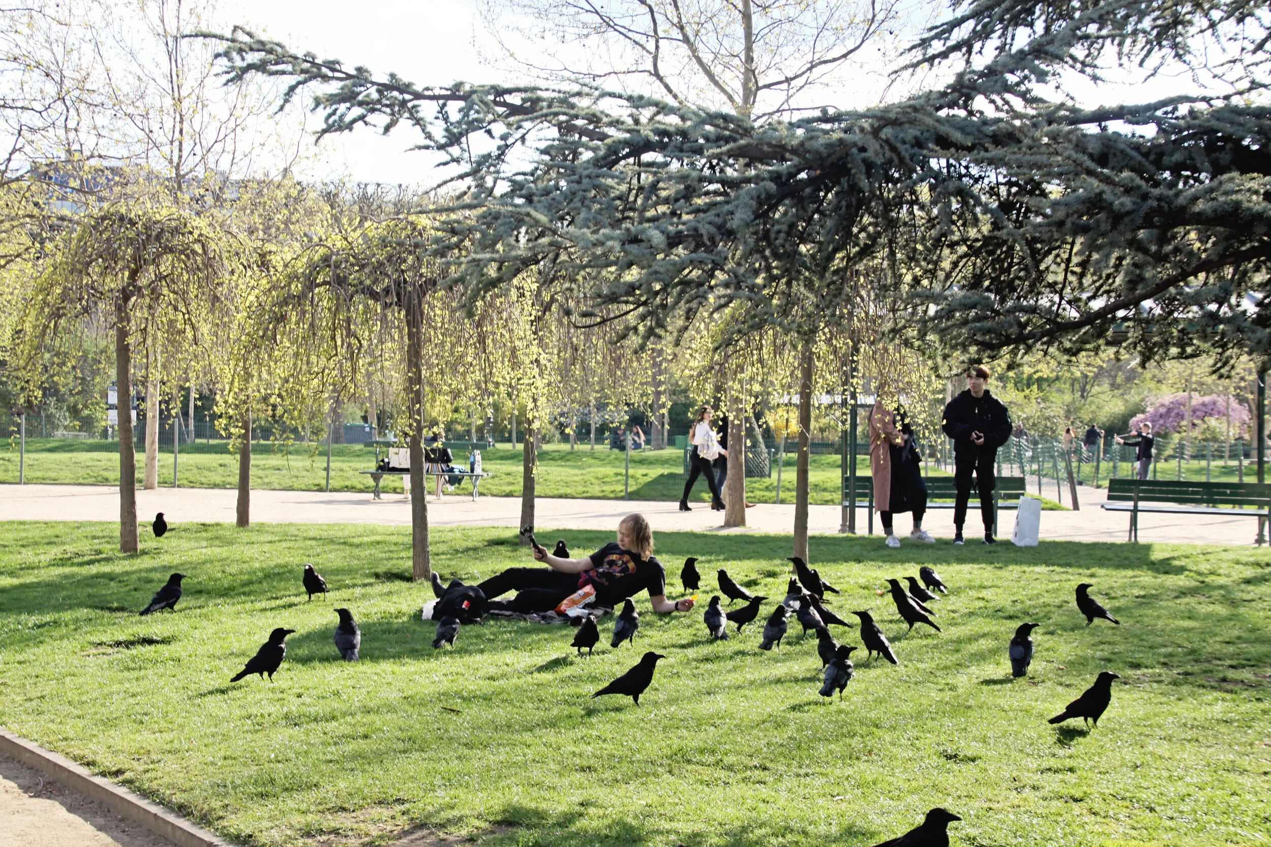 Paris 7.jpg