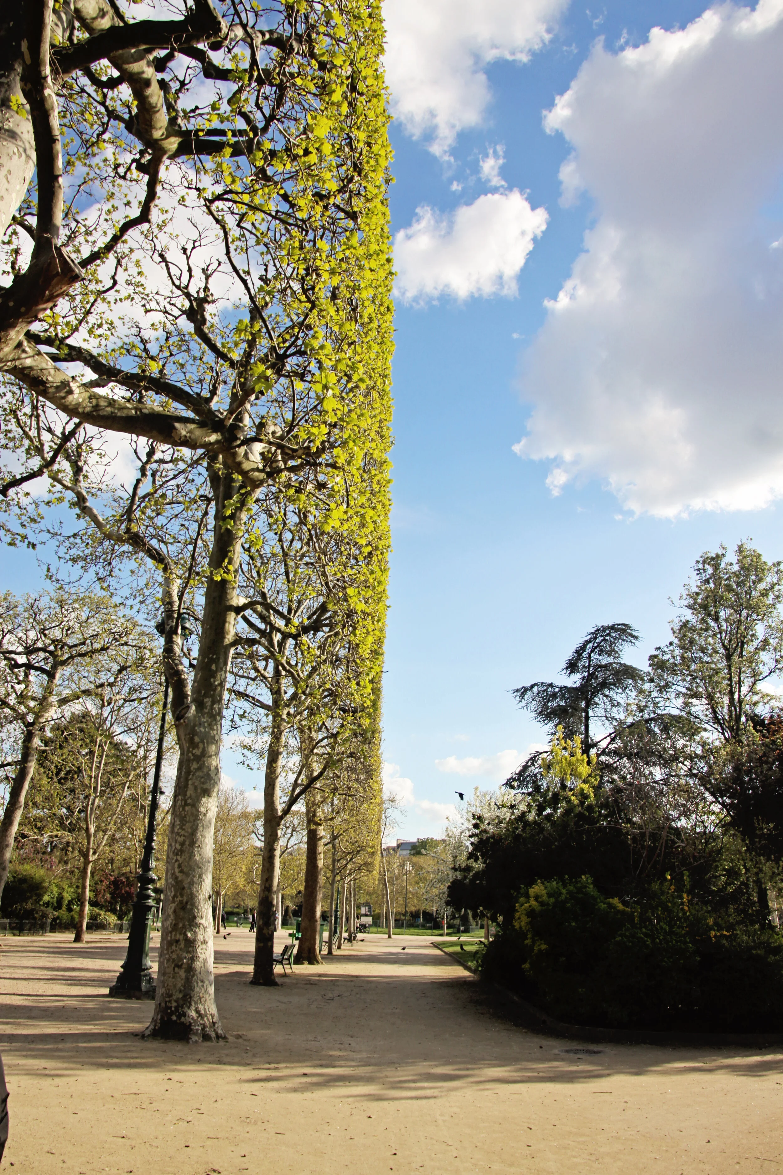 Paris 6.jpg