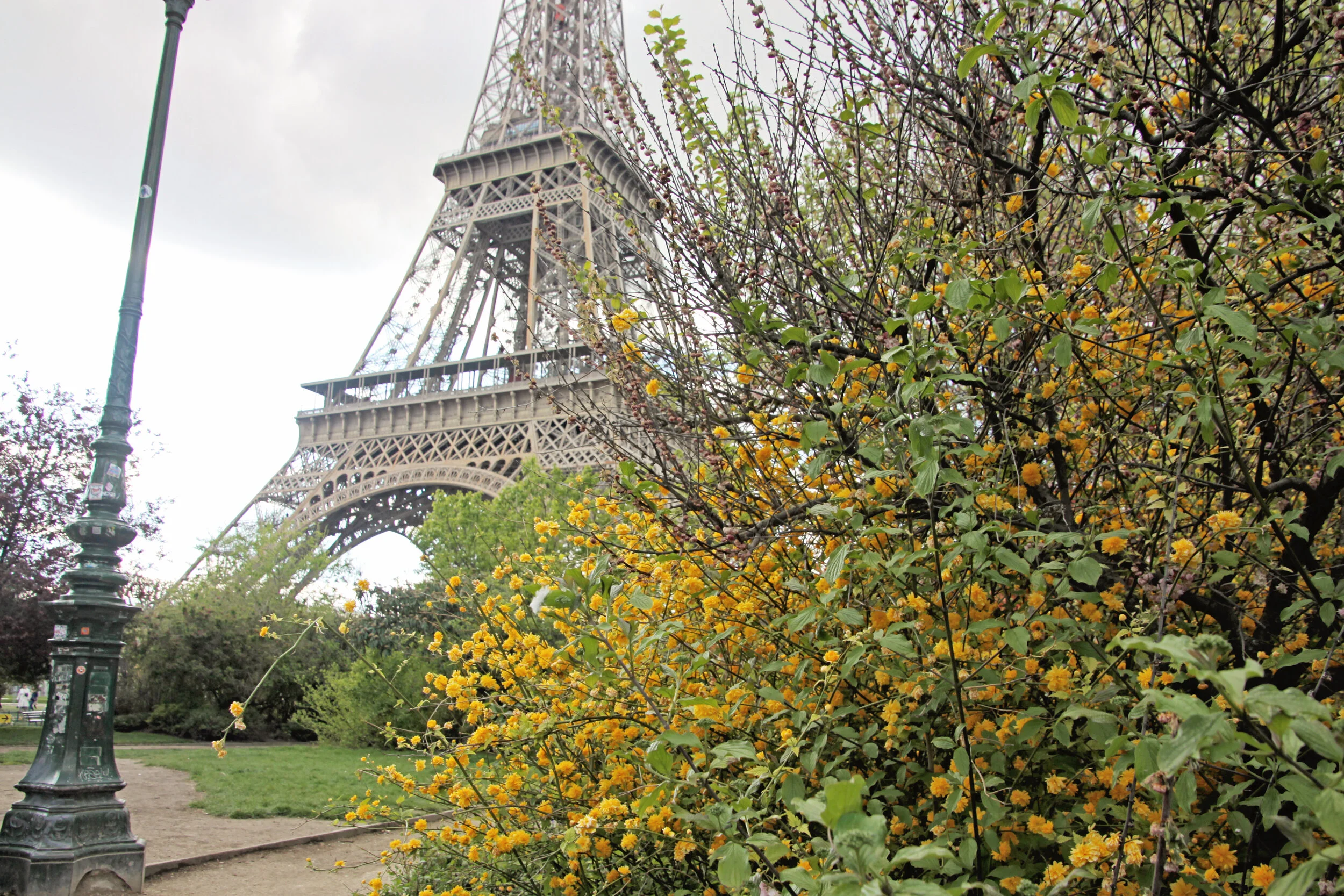 Paris 4.jpg