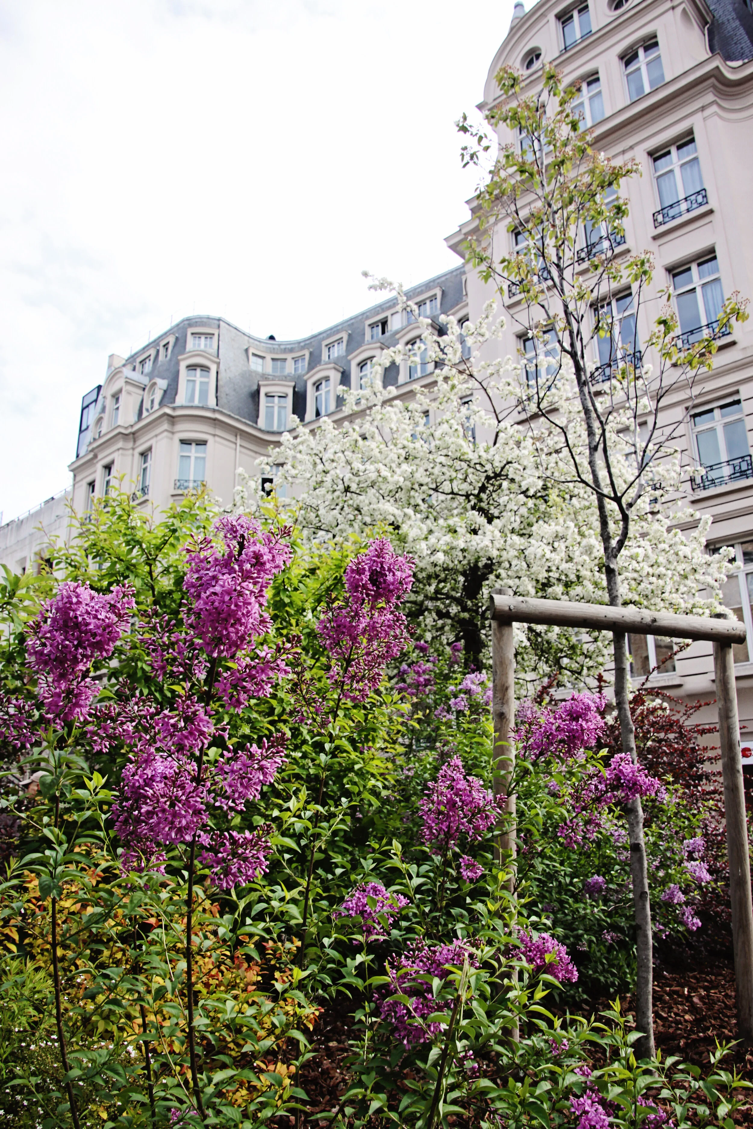 Paris 51.jpg