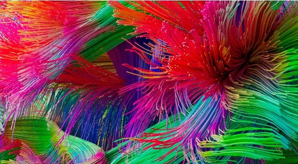 colorful brain tractography image by neuroscientist Lucius Fekonja