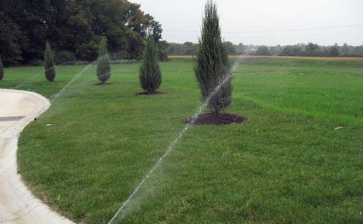 featured_irrigation4.jpg