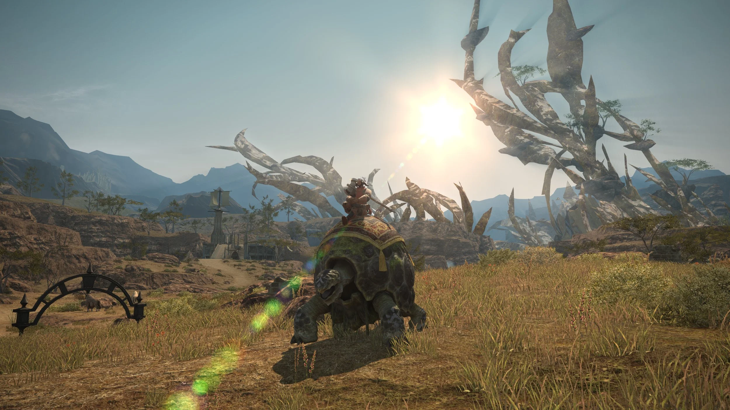 Adamantoise 2 - 8.24.21.jpg