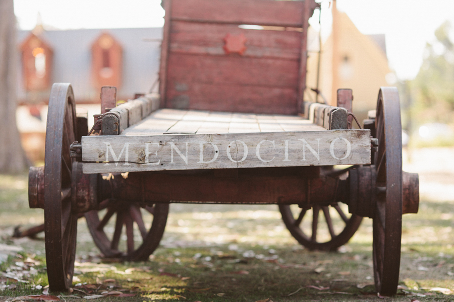 mendocino-destination-wedding-photographer-14.jpg
