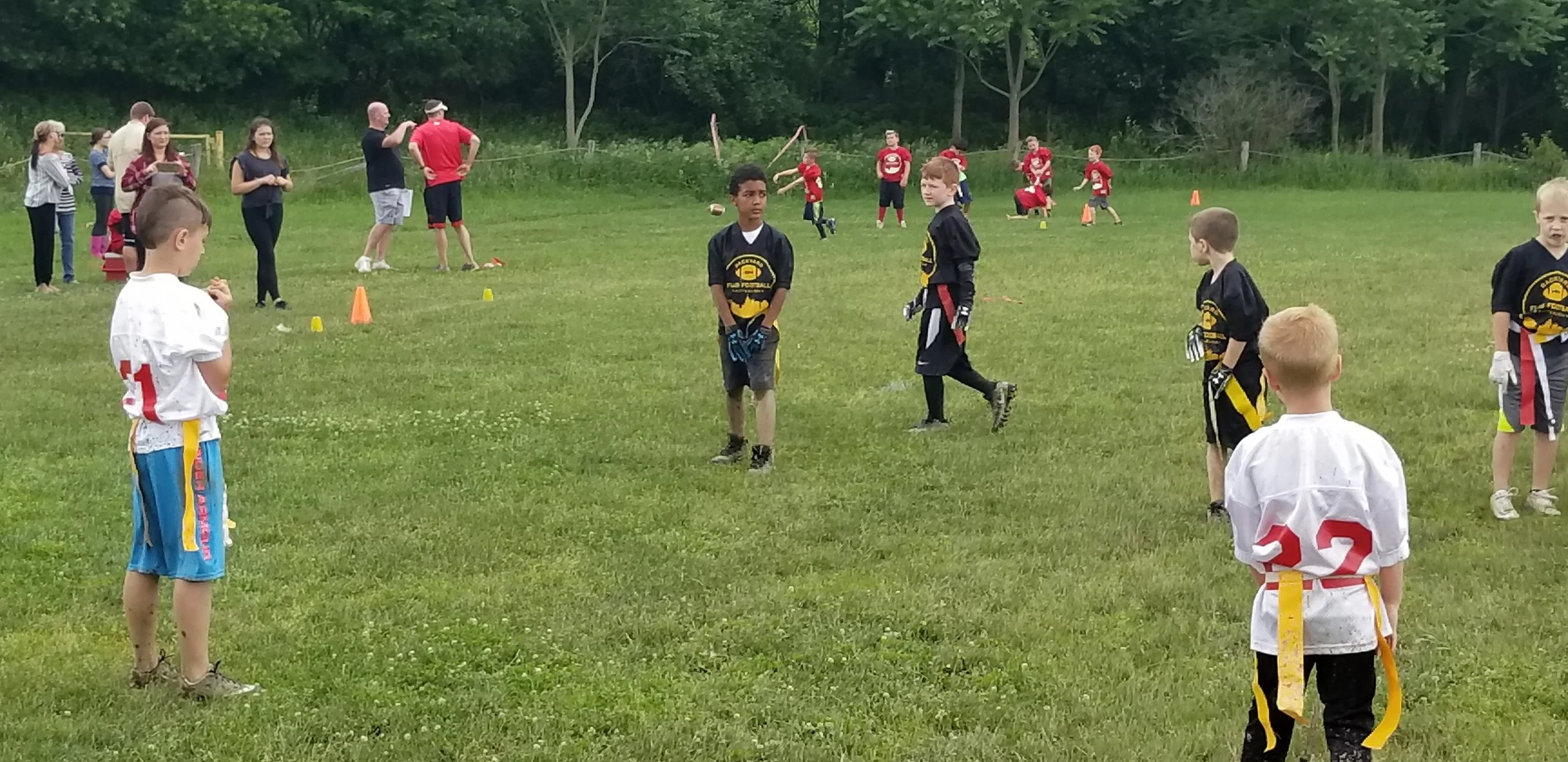 20190602_134311.jpg