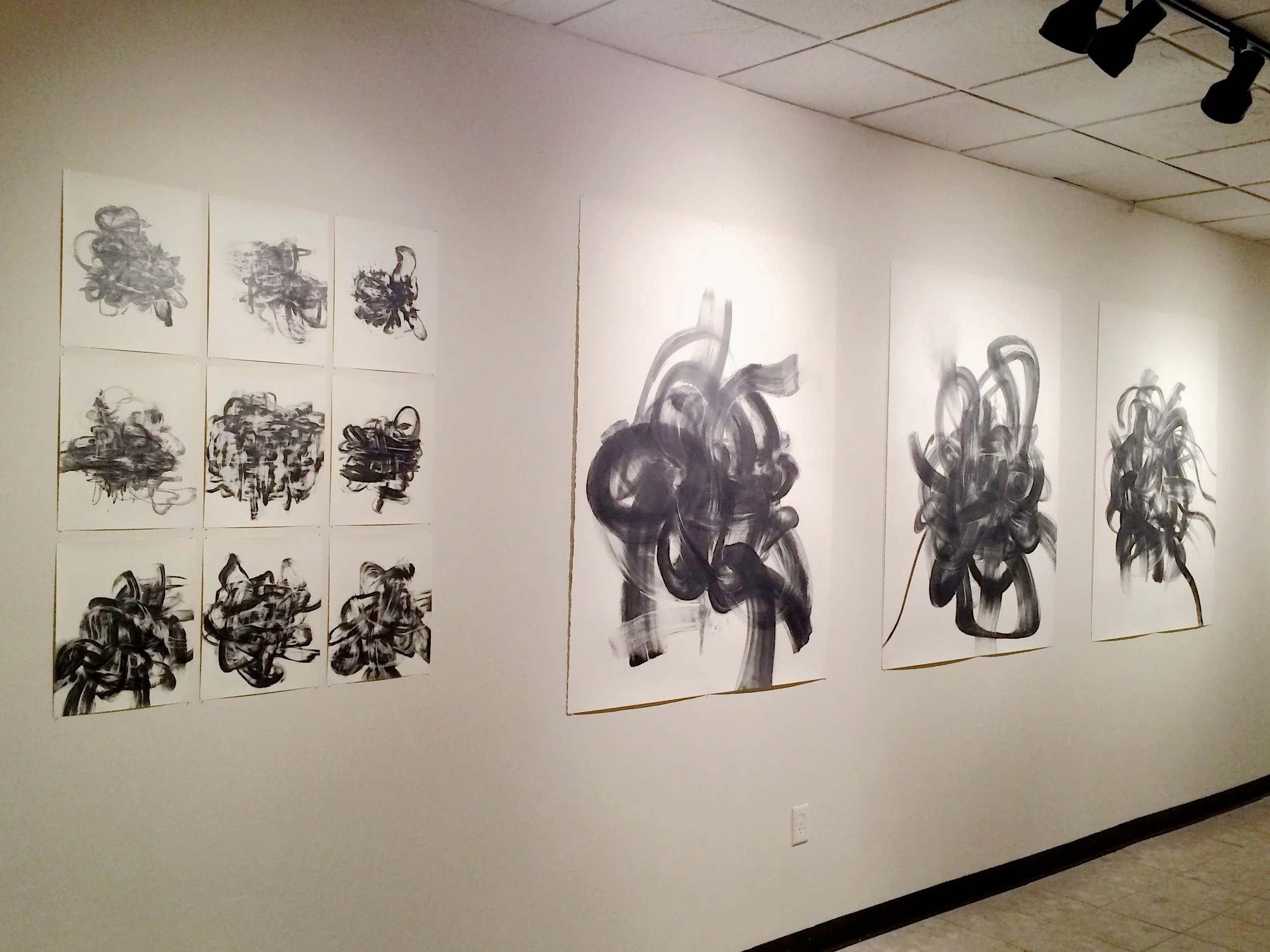  Installation view,  Atelophobia   Gallery Vault, St. Cloud, MN, 2015 