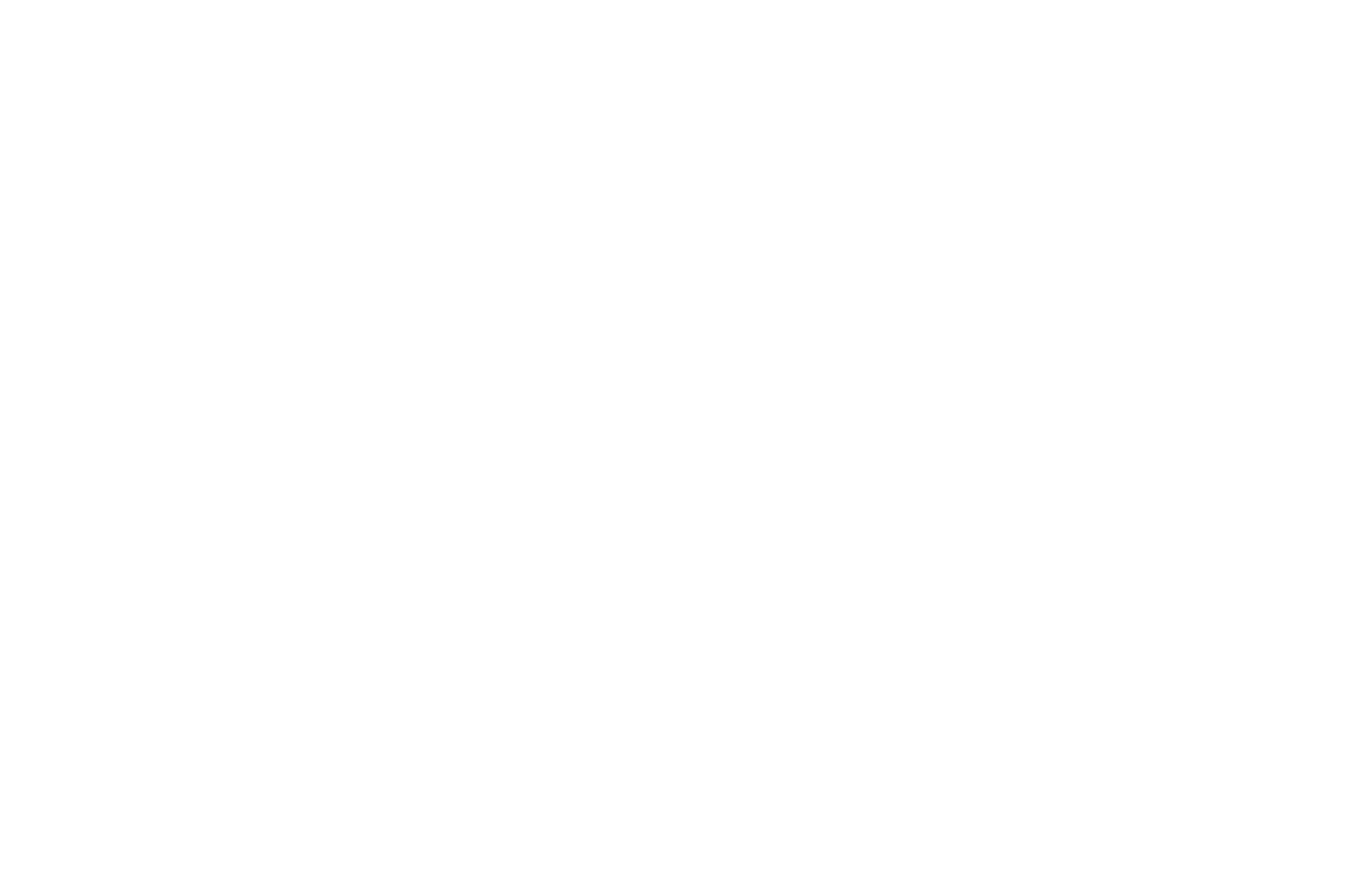 WINNER  2020 - BILBAO SERIESLAND - RISING AMETS (2).png