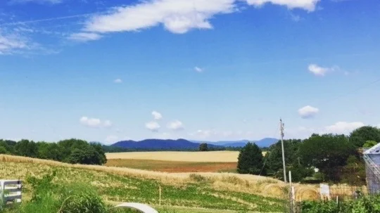 Fairview_Landscape.jpg