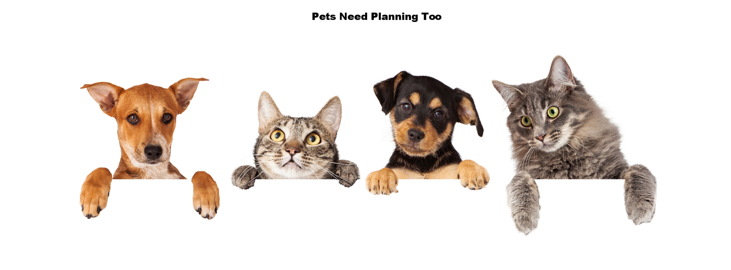 Don't forget to plan for your pets you leave behind.