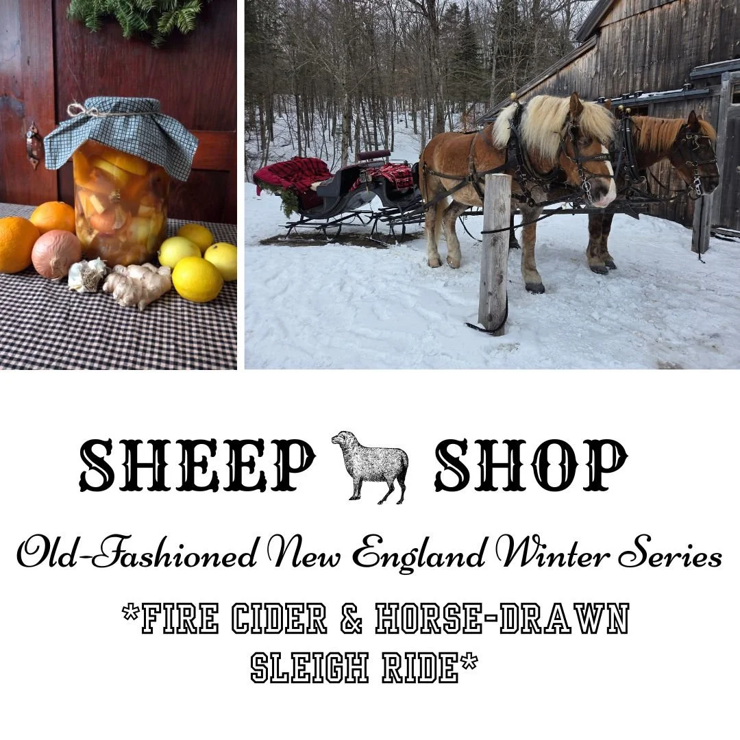 This January, I am determined not to let the frigid temps and the winter blues dampen my spirits. I even created a winter mini series to help me make the most of Vermont winters. In part 2 of my Old-Fashioned New England Winter Series, I am sharing m