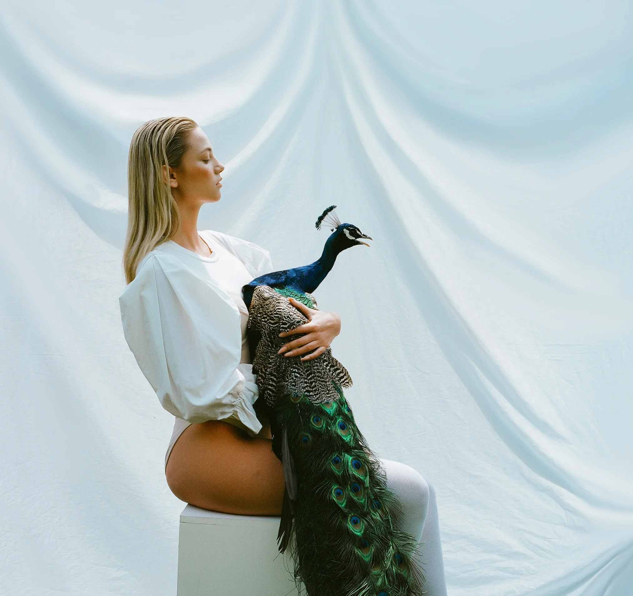 web cover 2.jpg