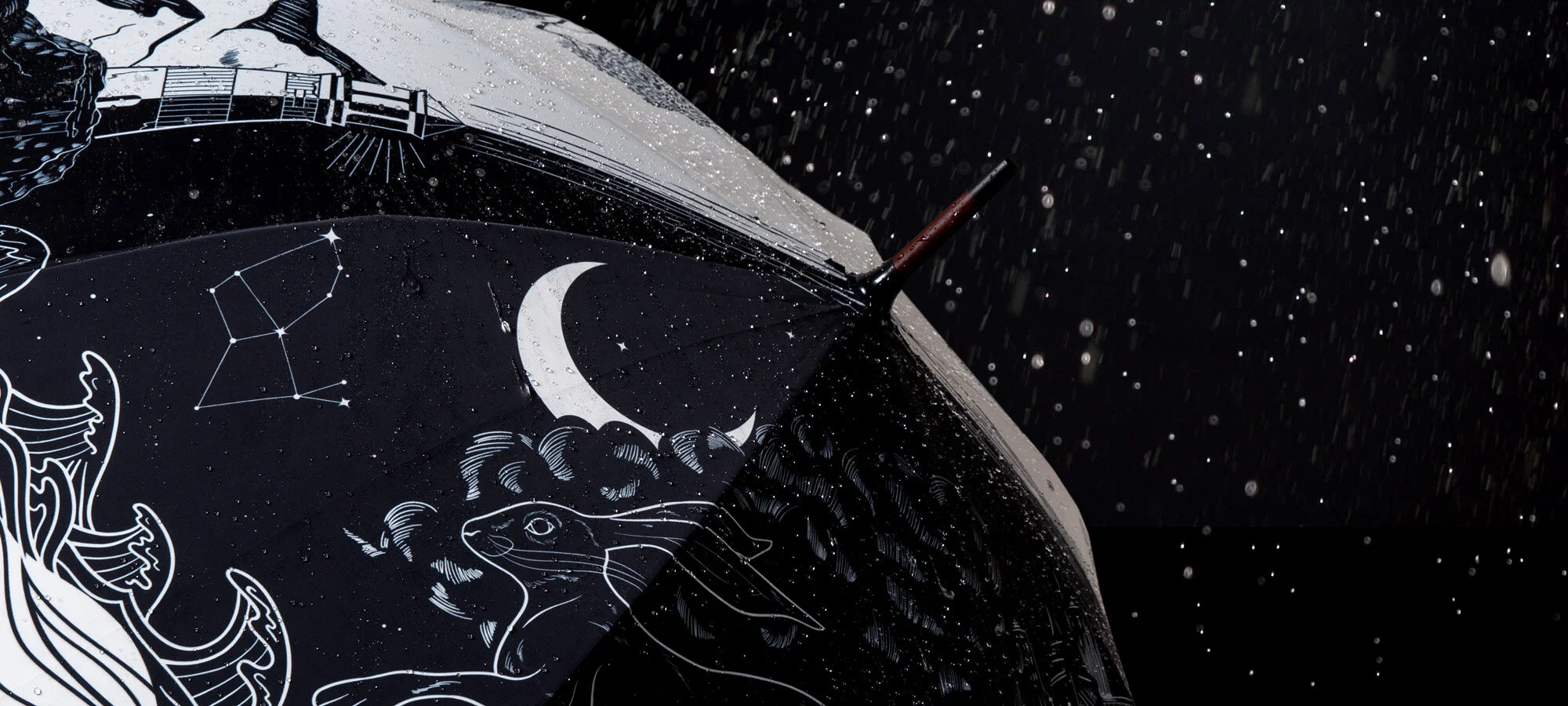GFC Umbrella_Hero Image-v2.jpg