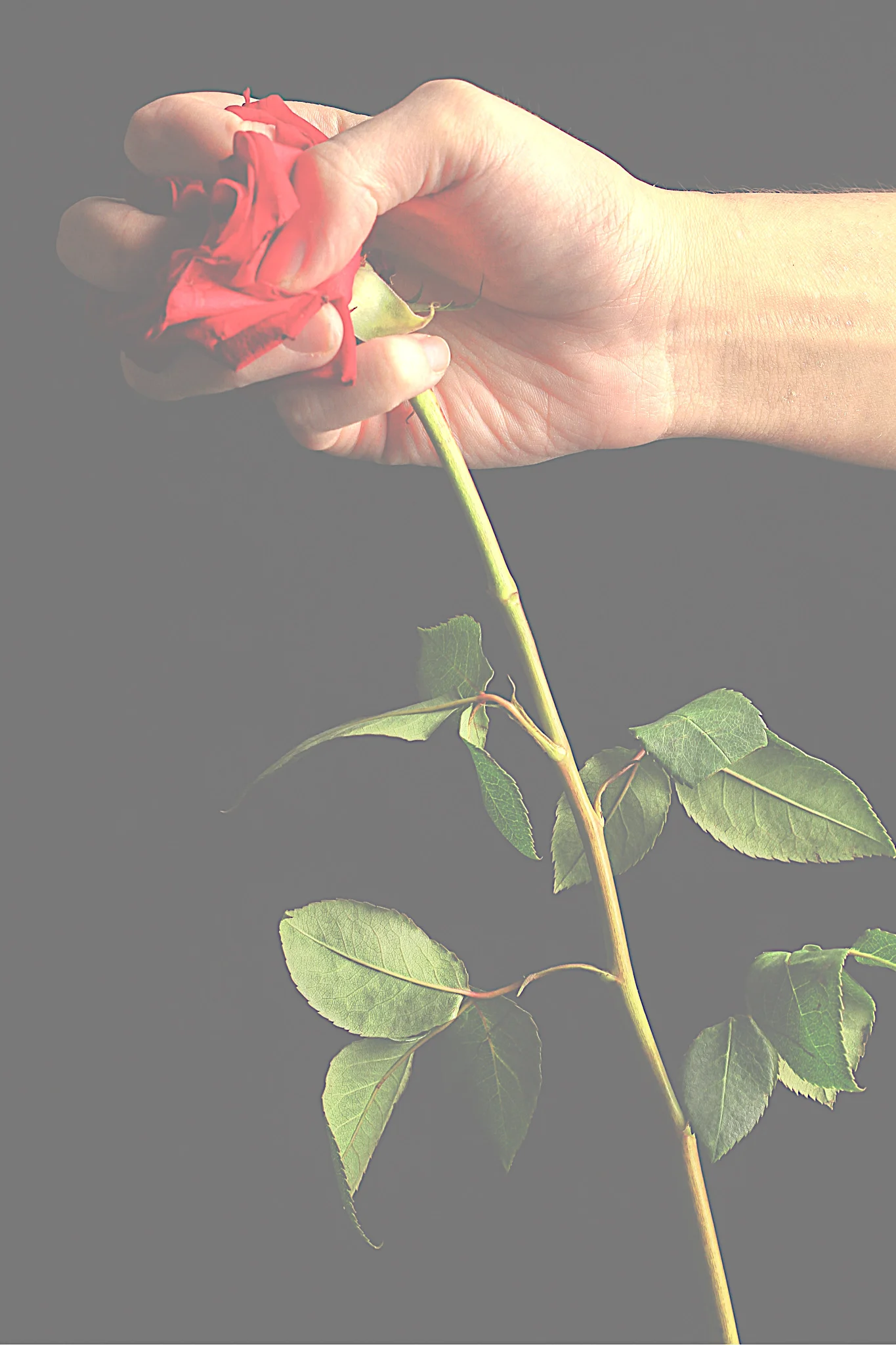 Violència en la parella