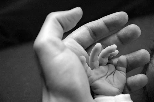 La Función Paterna: Un Análisis desde Diversos Paradigmas Terapéuticos