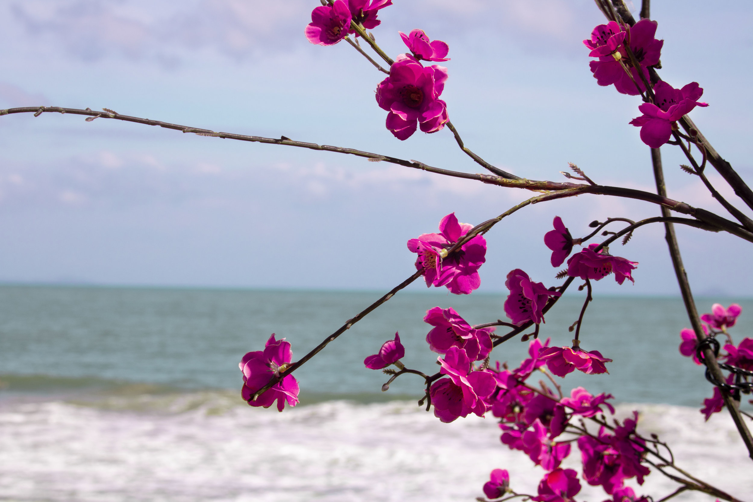 flowers on beach.jpg