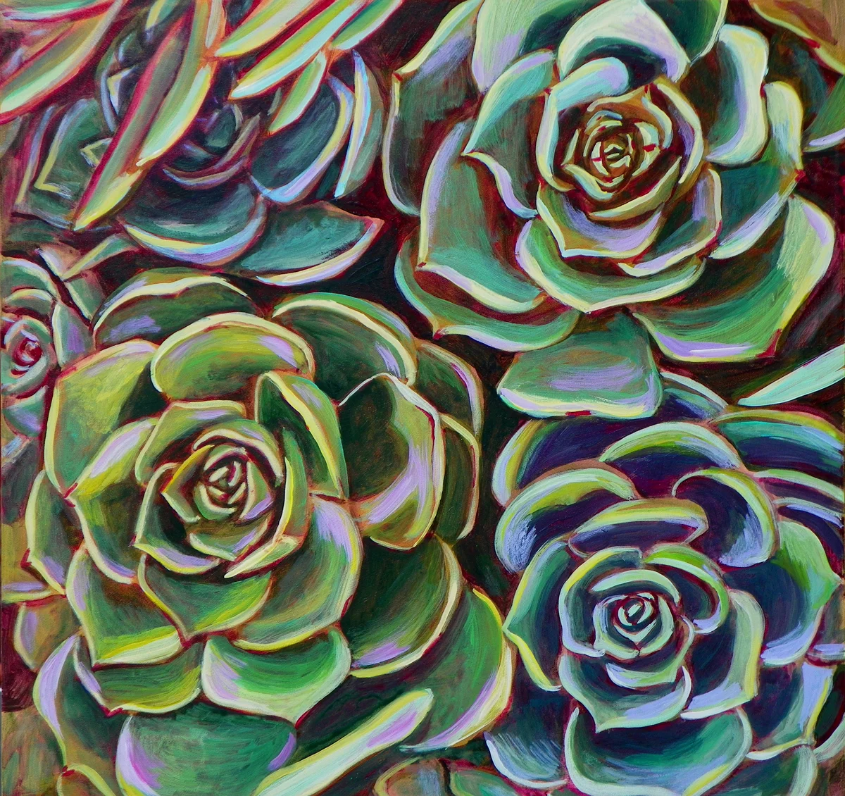 4 Succulents for web.jpg