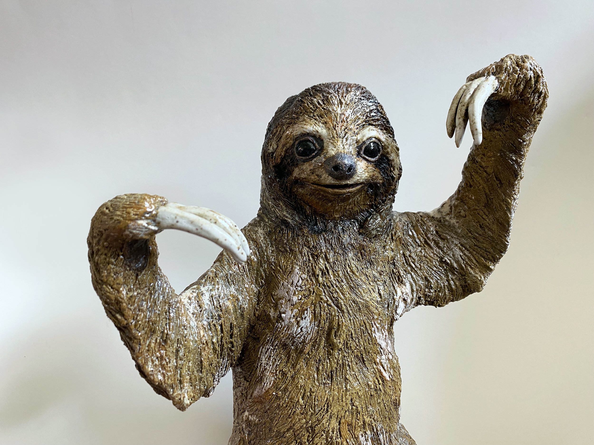 Sloth photo 2.jpg