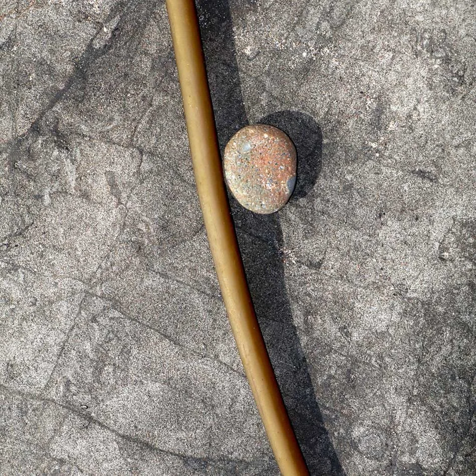 Kelp and Rock by Gay Waldman