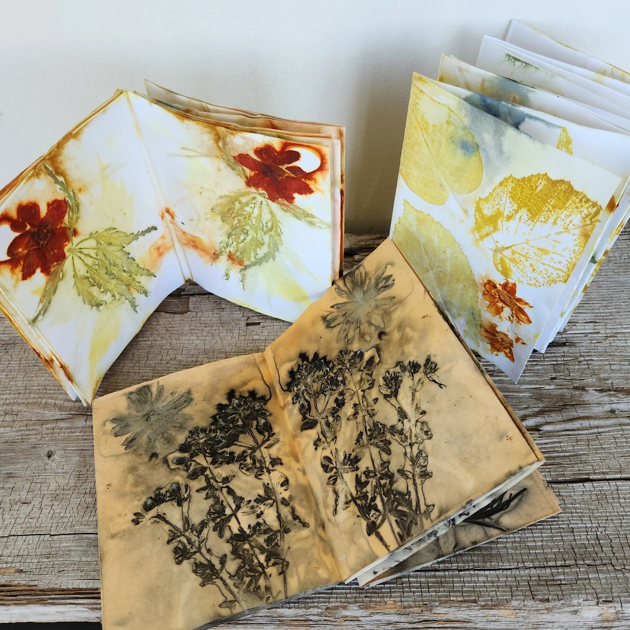 Eco Printed Accordion Journal Class with Nan Drye