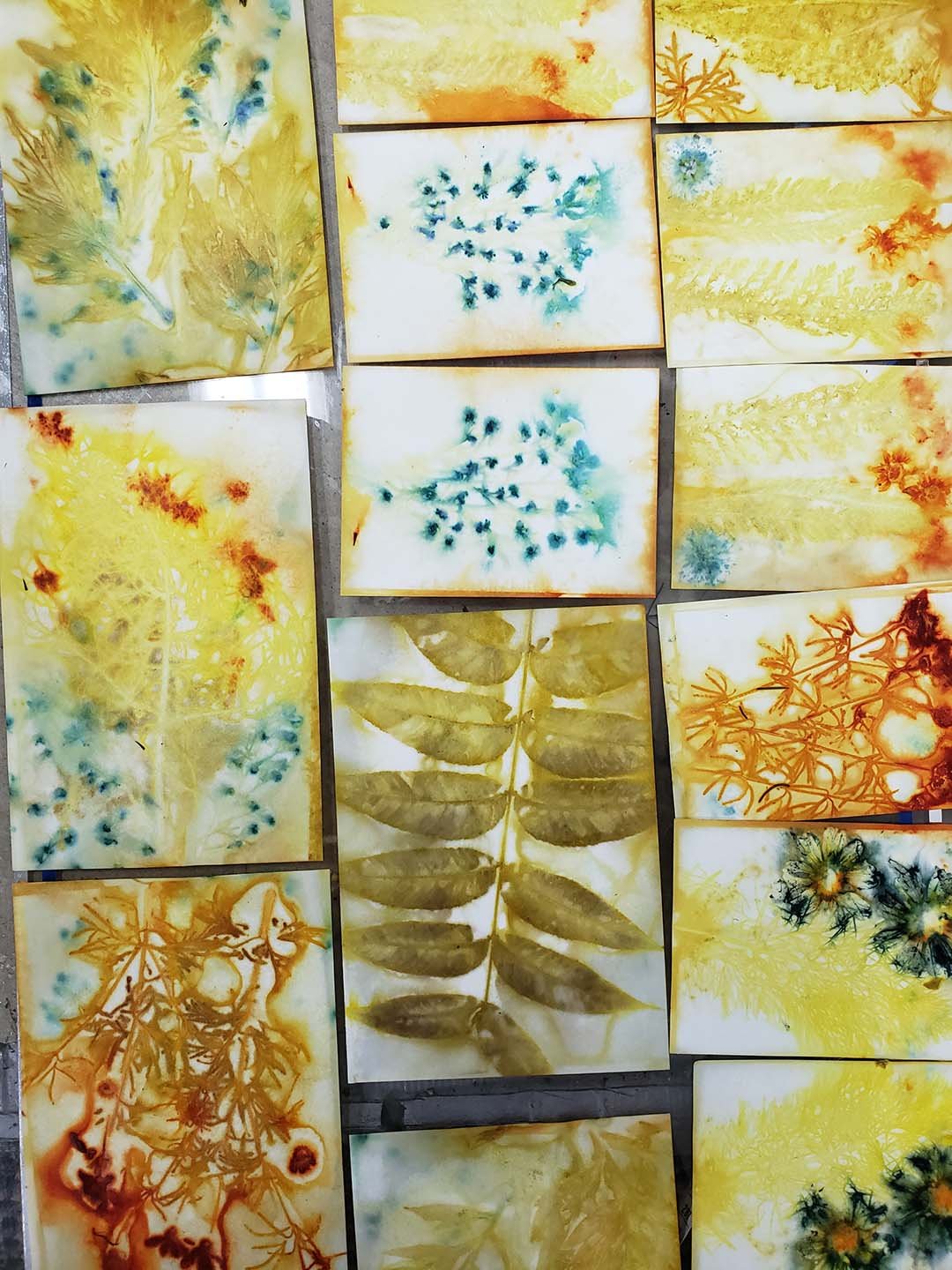 Eco Printed Art Paper Class with Nan Drye