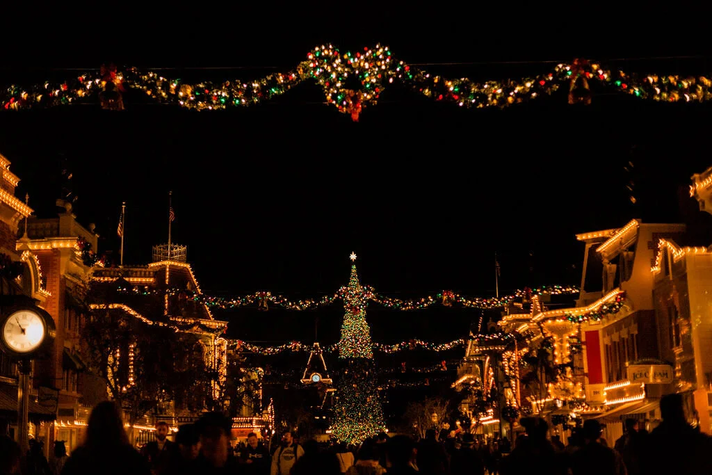 Disneyland-208.jpg