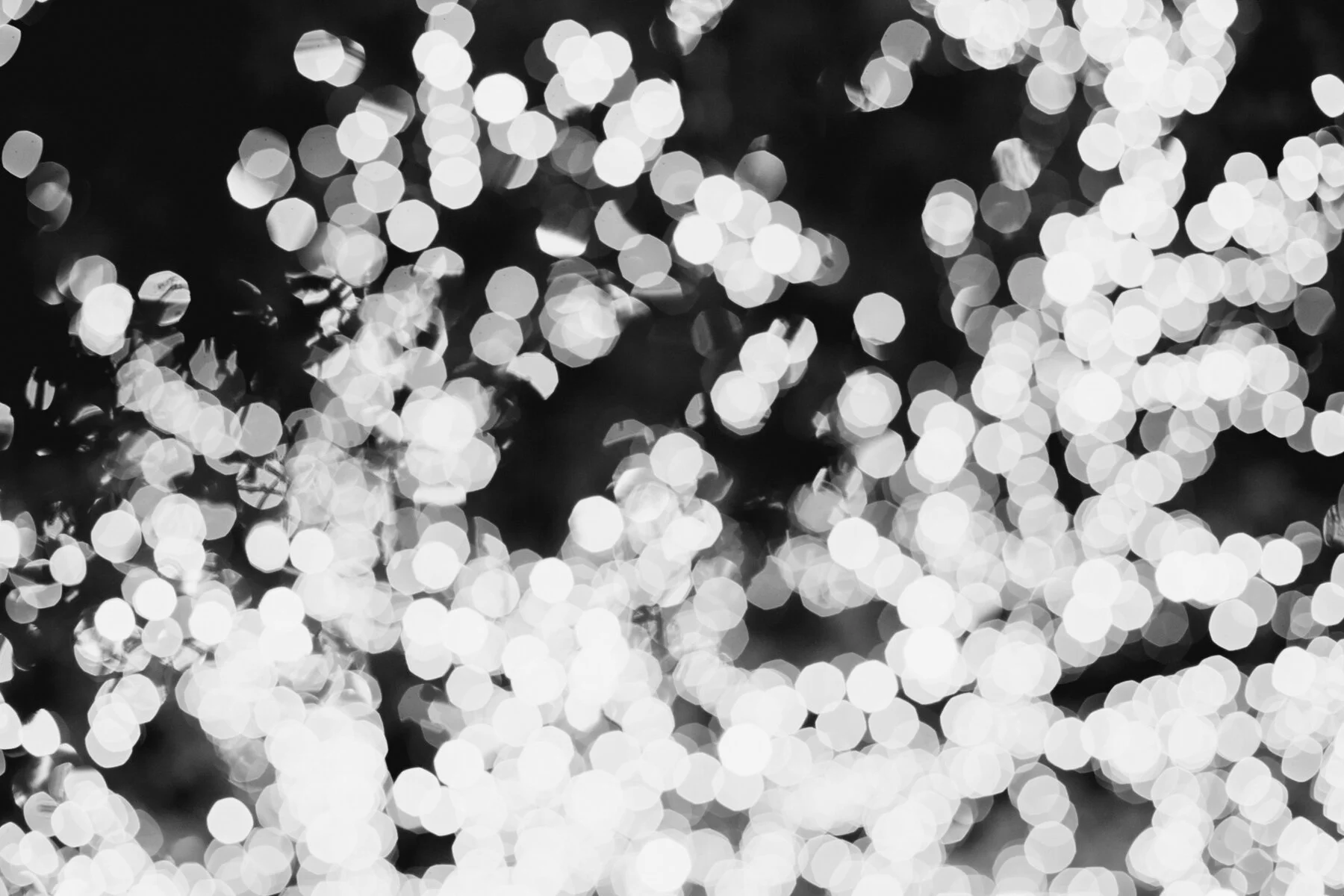 Lights-On-BW-109.jpg