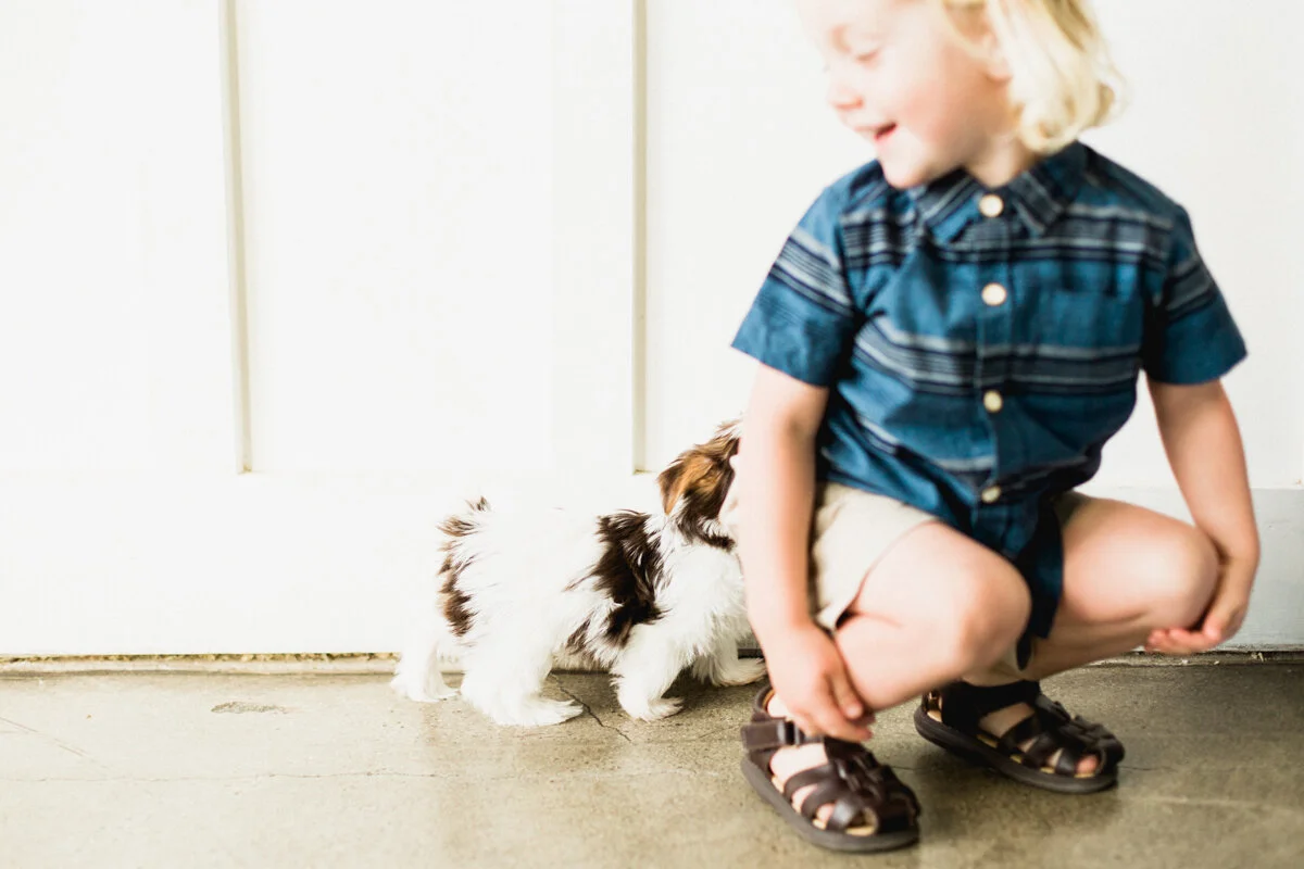 Blaine-Puppy-Birthday-19.jpg