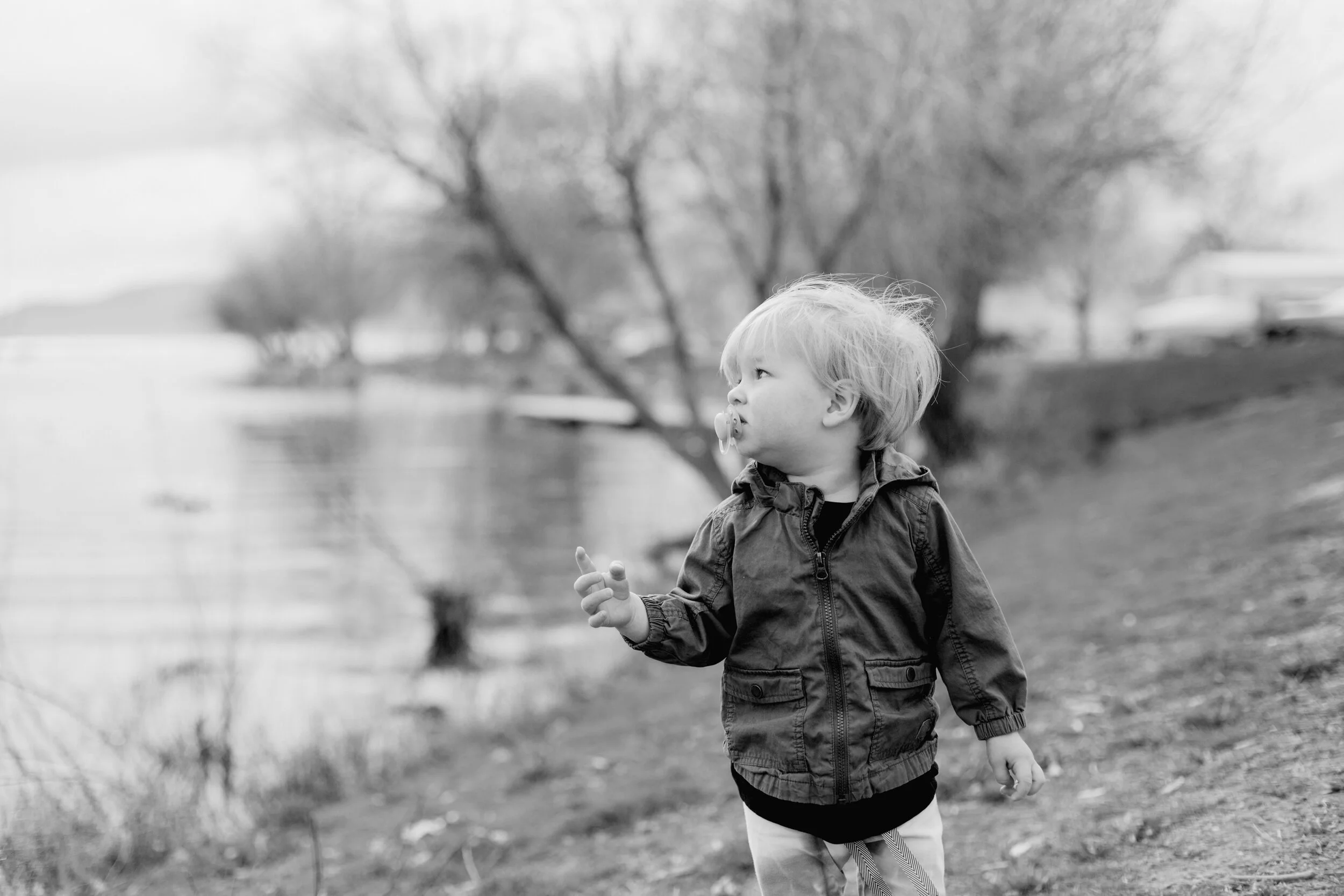 Ducks-BW-11.jpg
