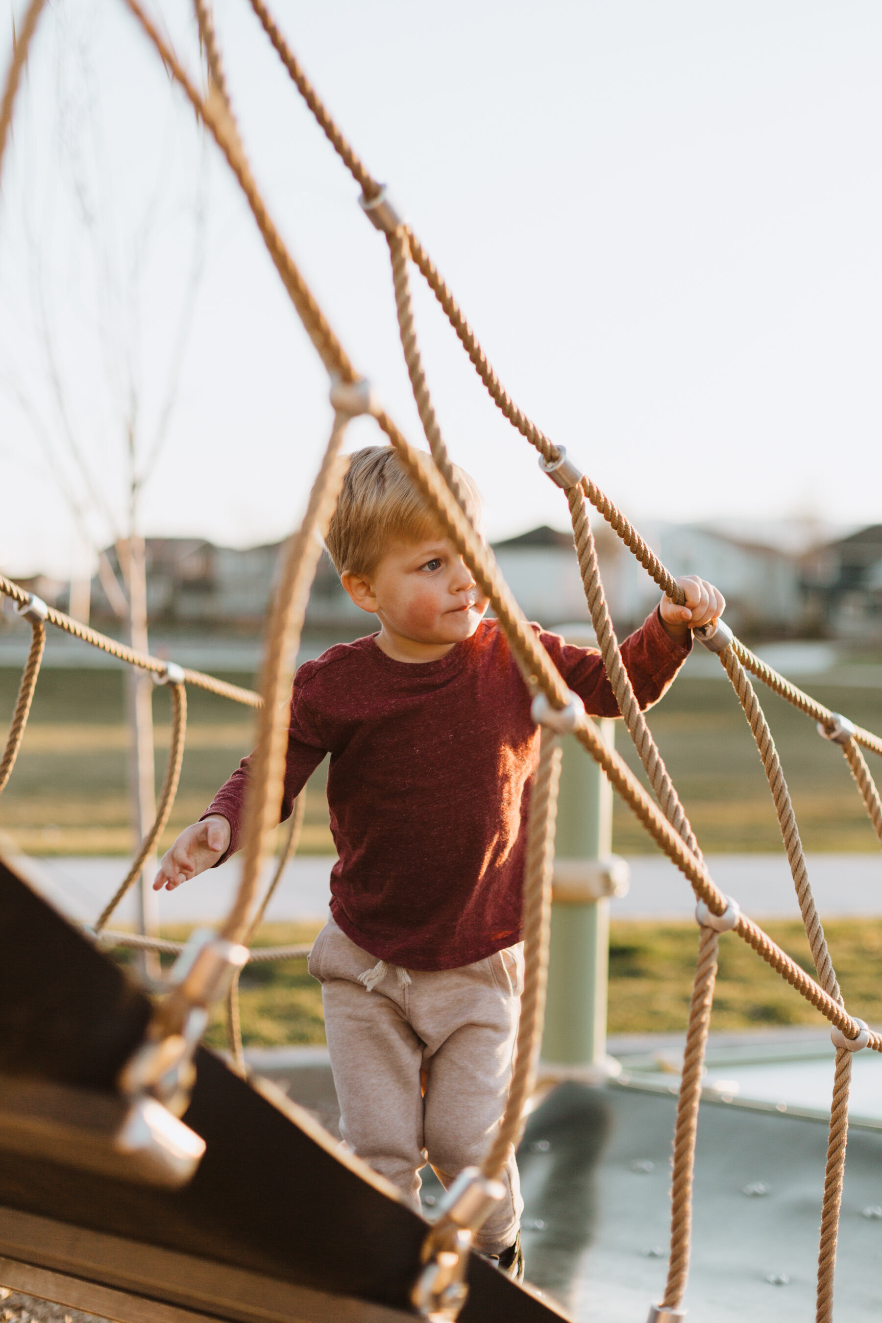 Golden at the Green Park