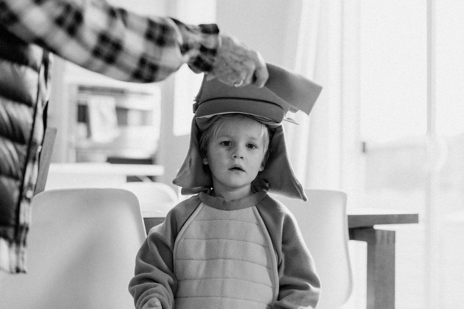 Never Smile at a Crocodile