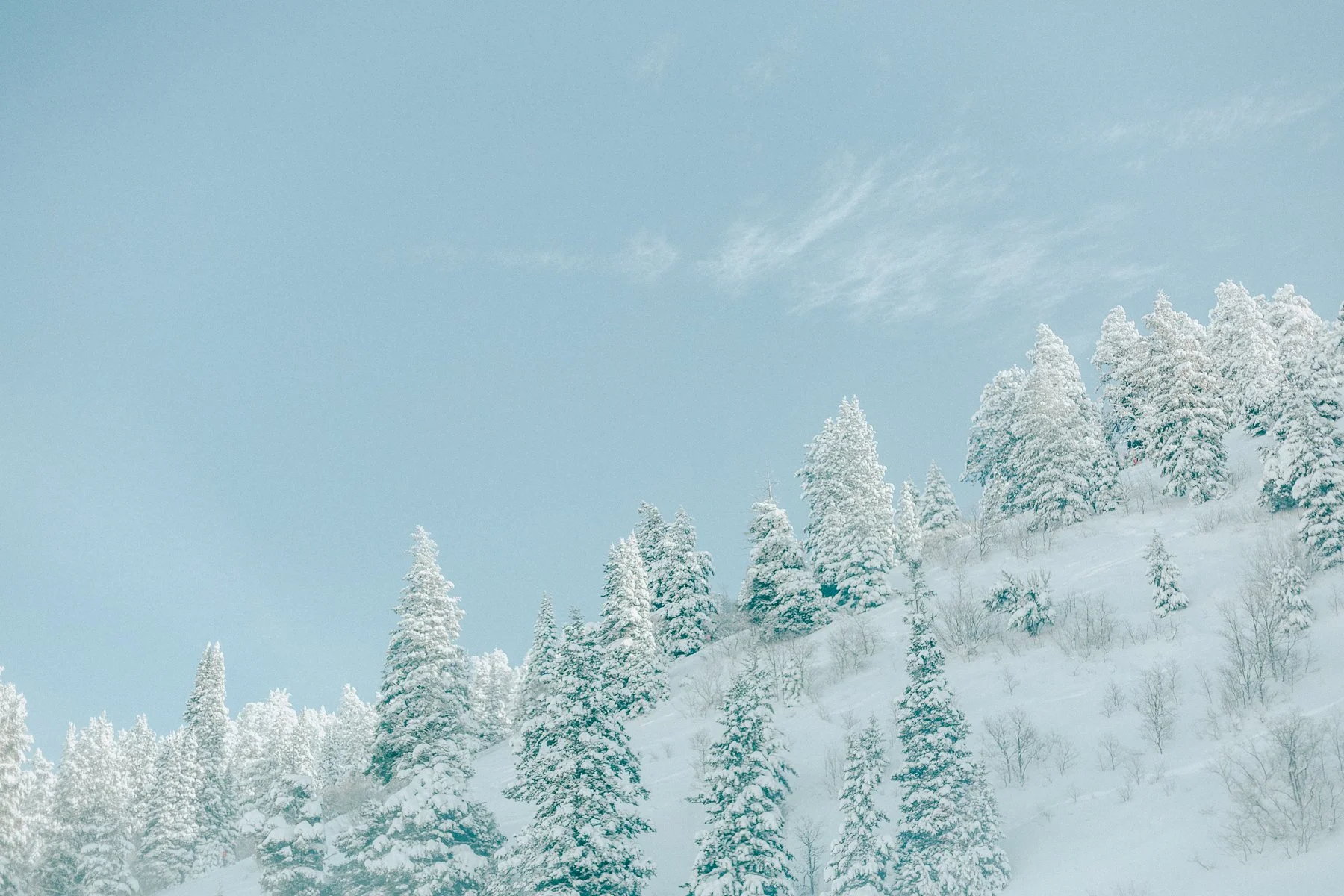 Powder-Mountains-6.jpg