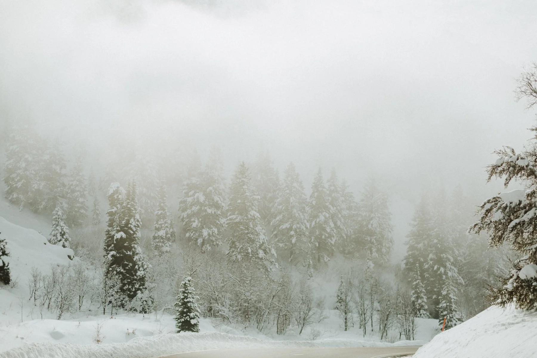 Powder-Mountains-41.jpg