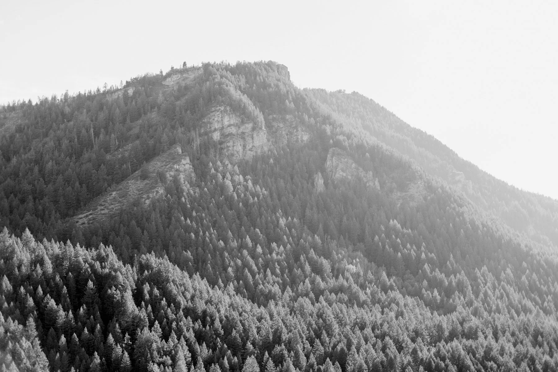 In the Words of Isla