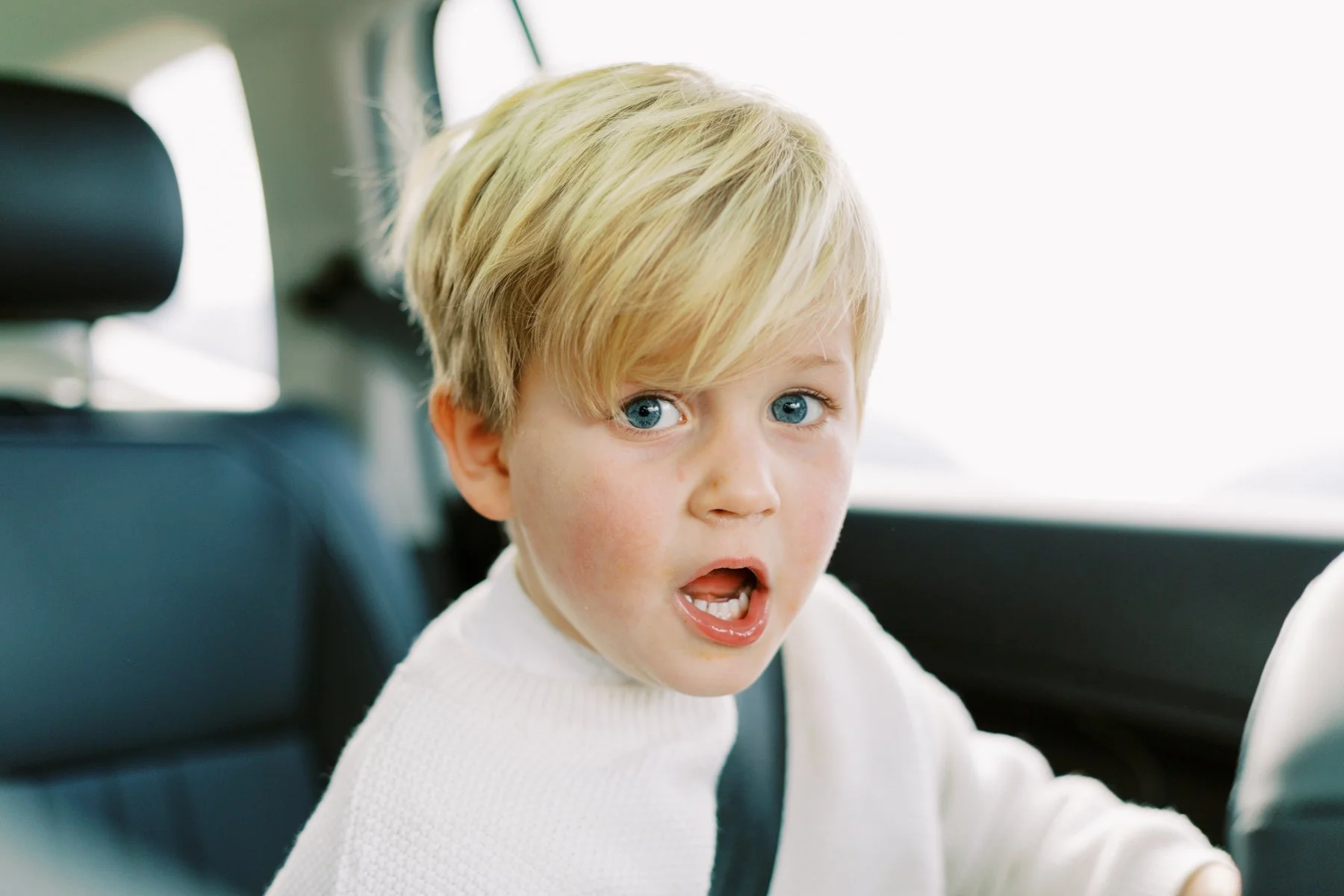 Cutting the Tree-22-5.jpg