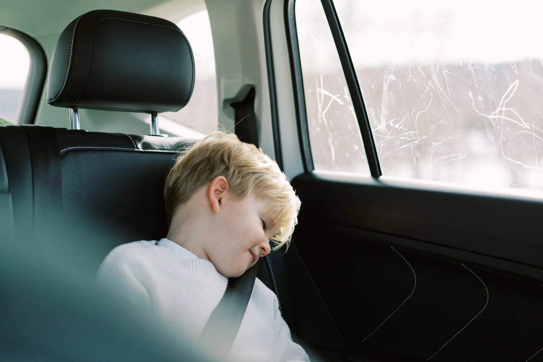 Cutting the Tree-22-12.jpg