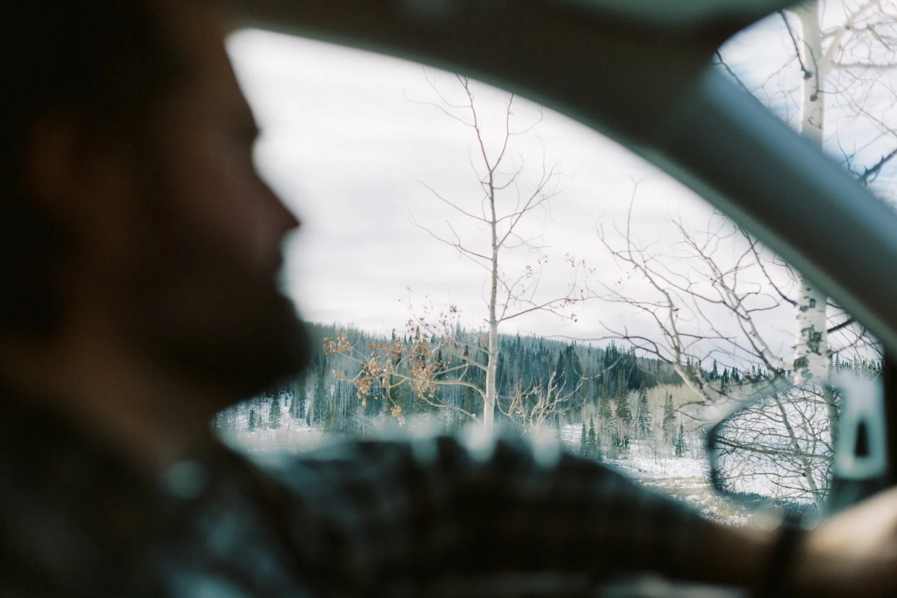 Cutting the Tree-22-17.jpg