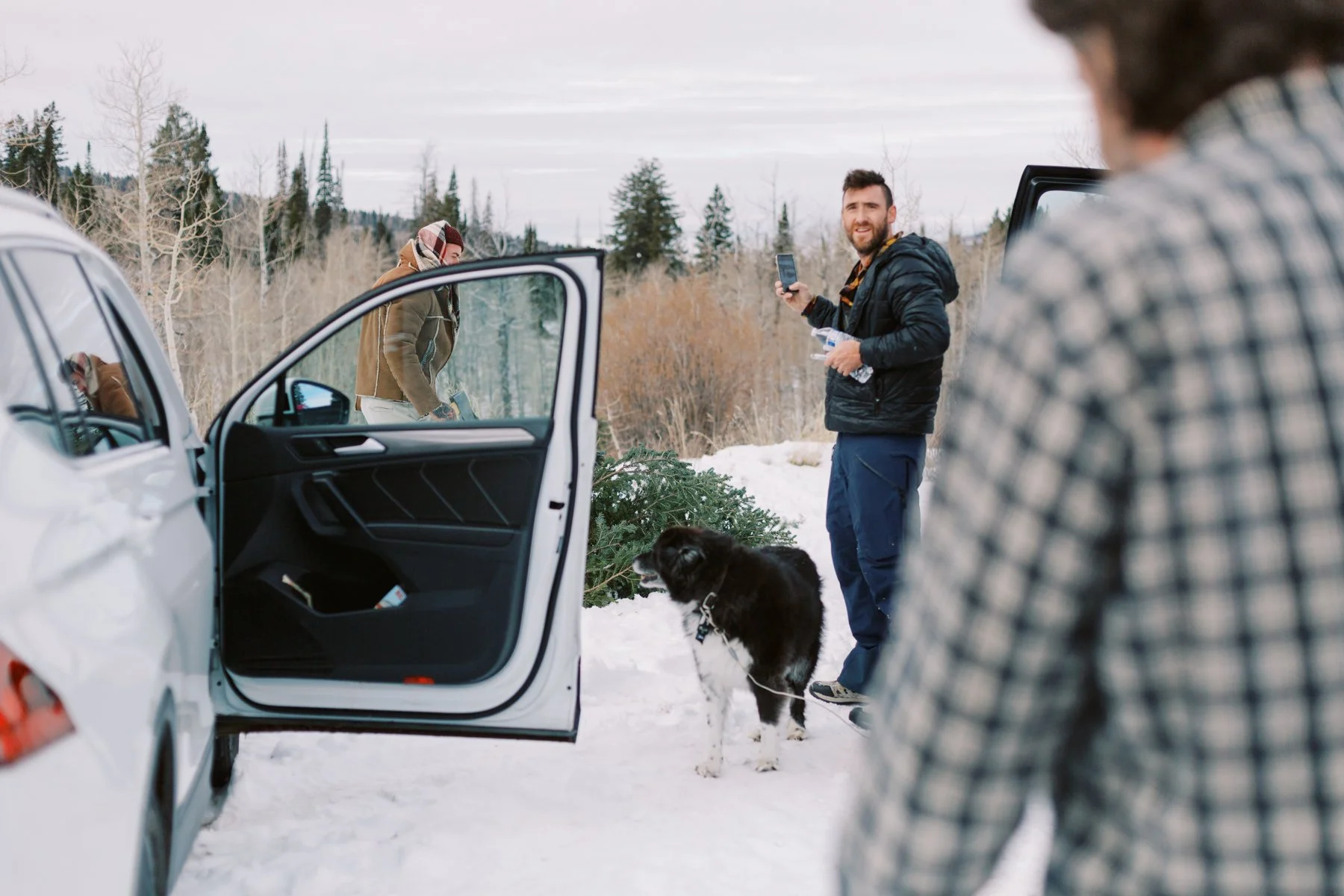 Cutting the Tree-22-22.jpg