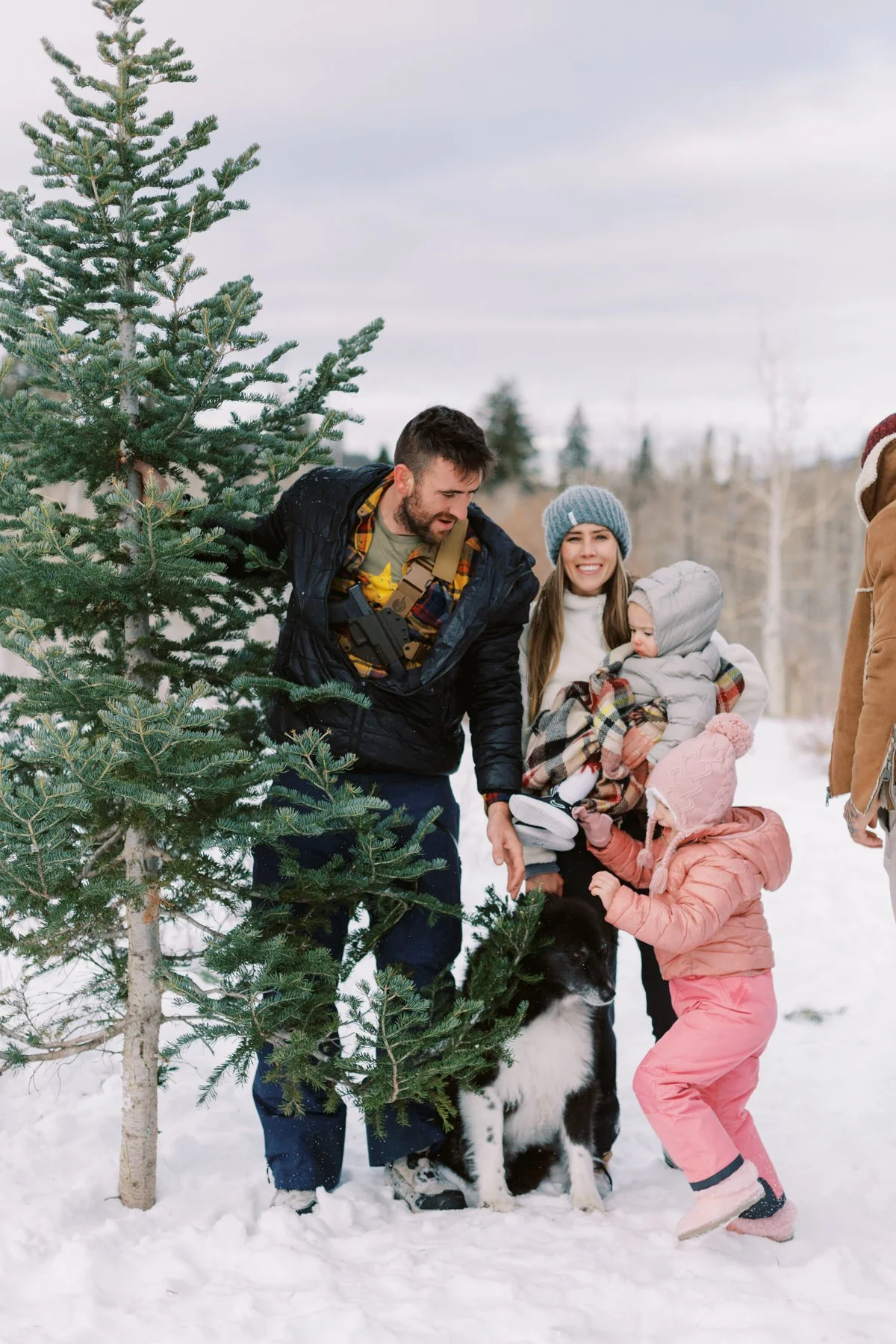 Cutting the Tree-22-32.jpg