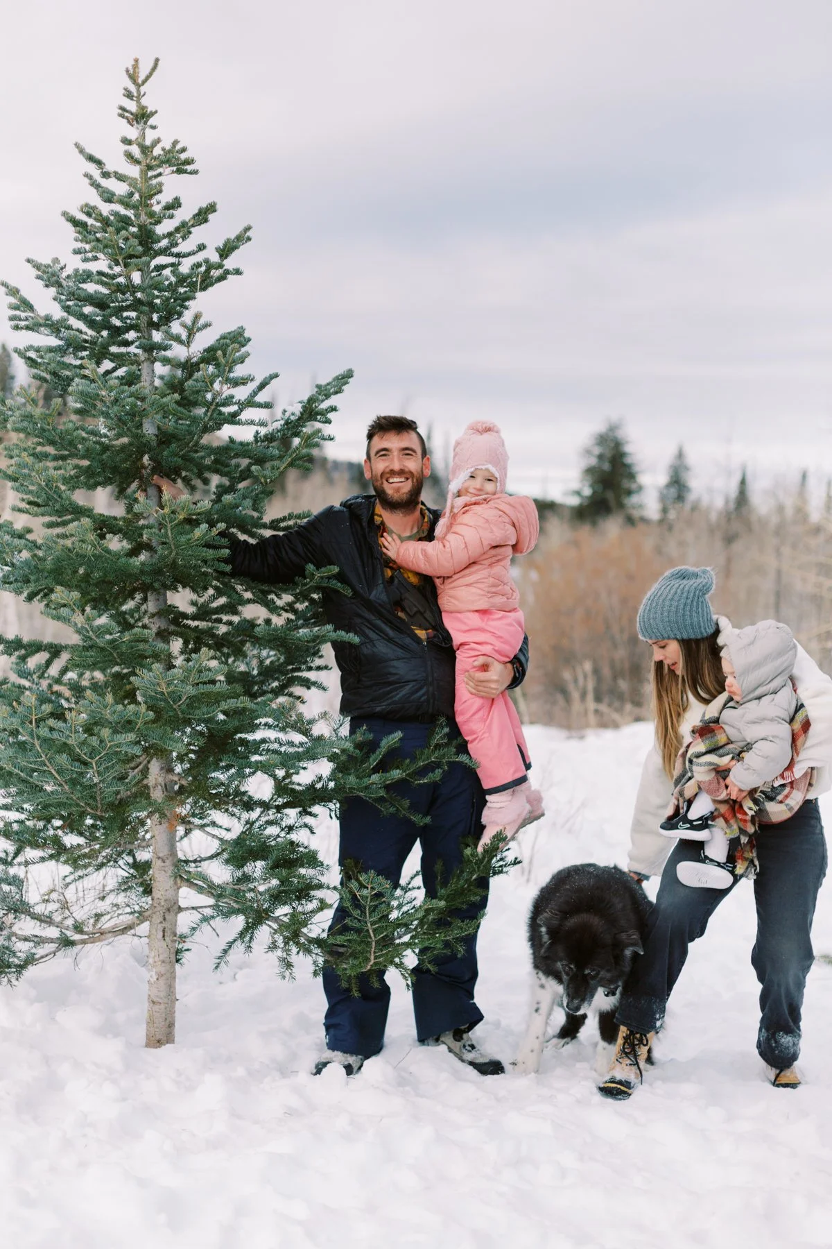 Cutting the Tree-22-38.jpg