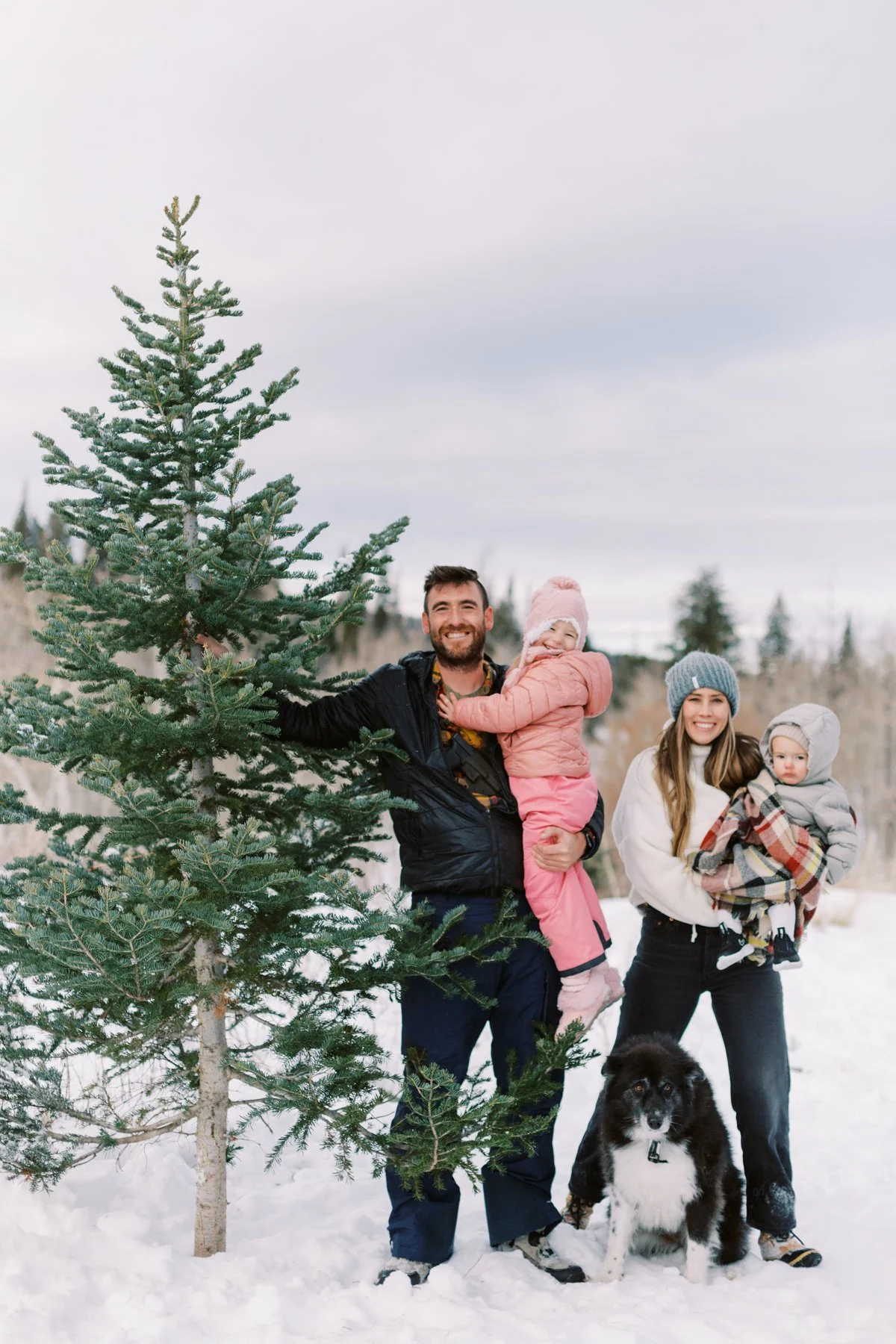 Cutting the Tree-22-41.jpg