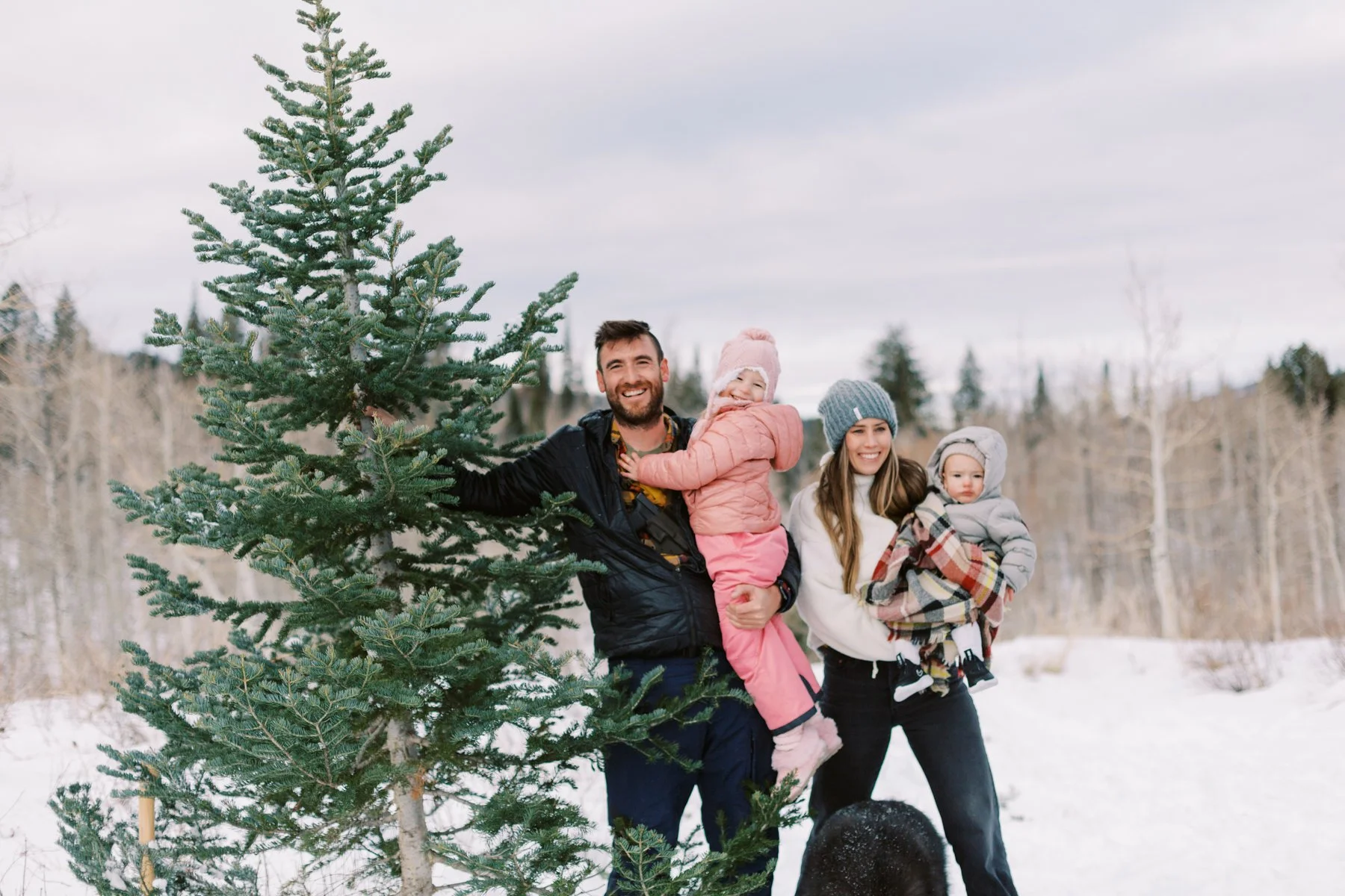 Cutting the Tree-22-42.jpg