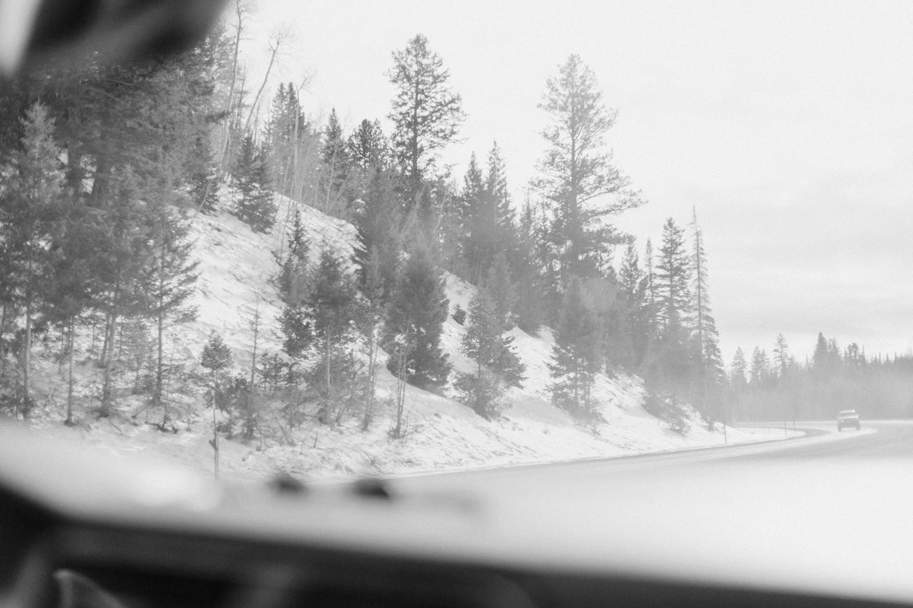 Cutting the Tree-22-BW-7.jpg