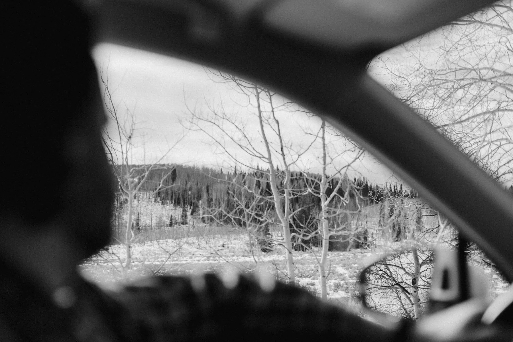 Cutting the Tree-22-BW-15.jpg