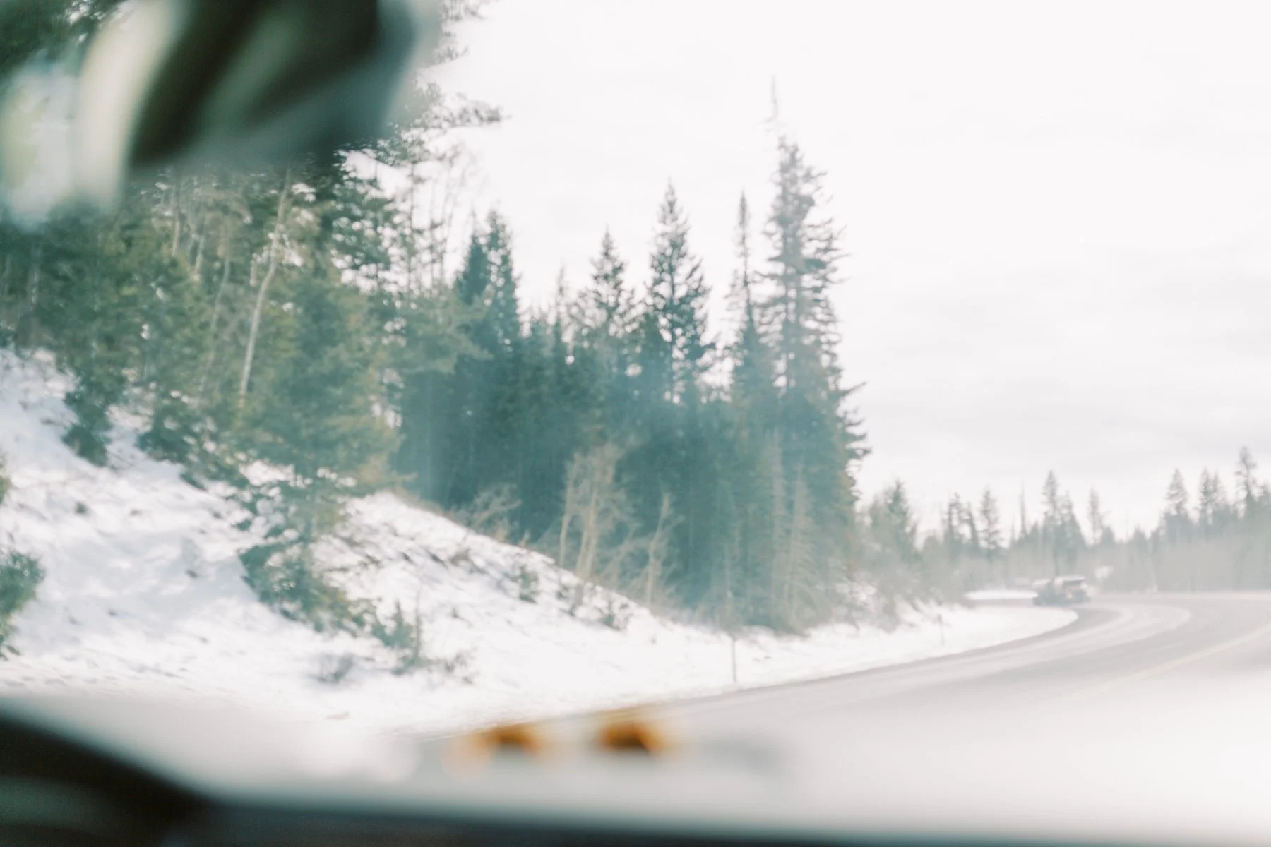 Cutting Down the Tree